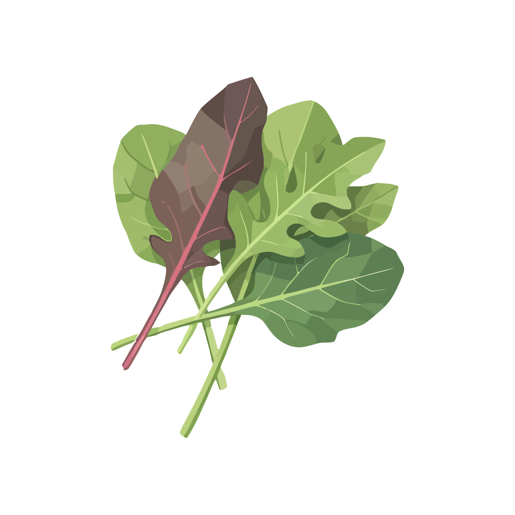 Mixed Greens