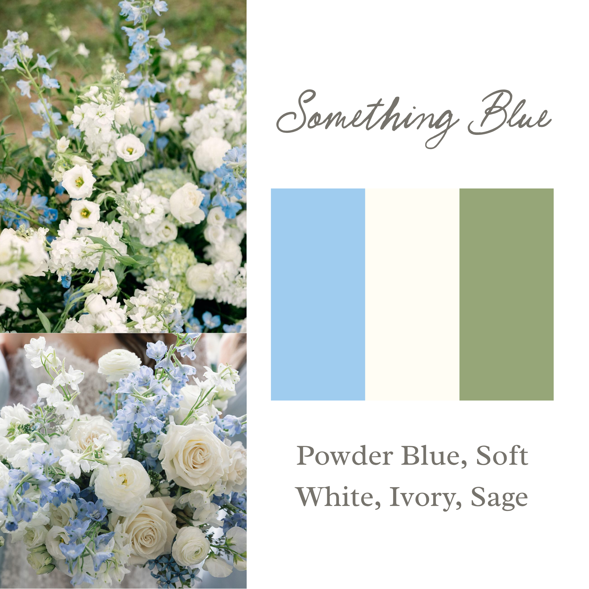 Spring (6).png