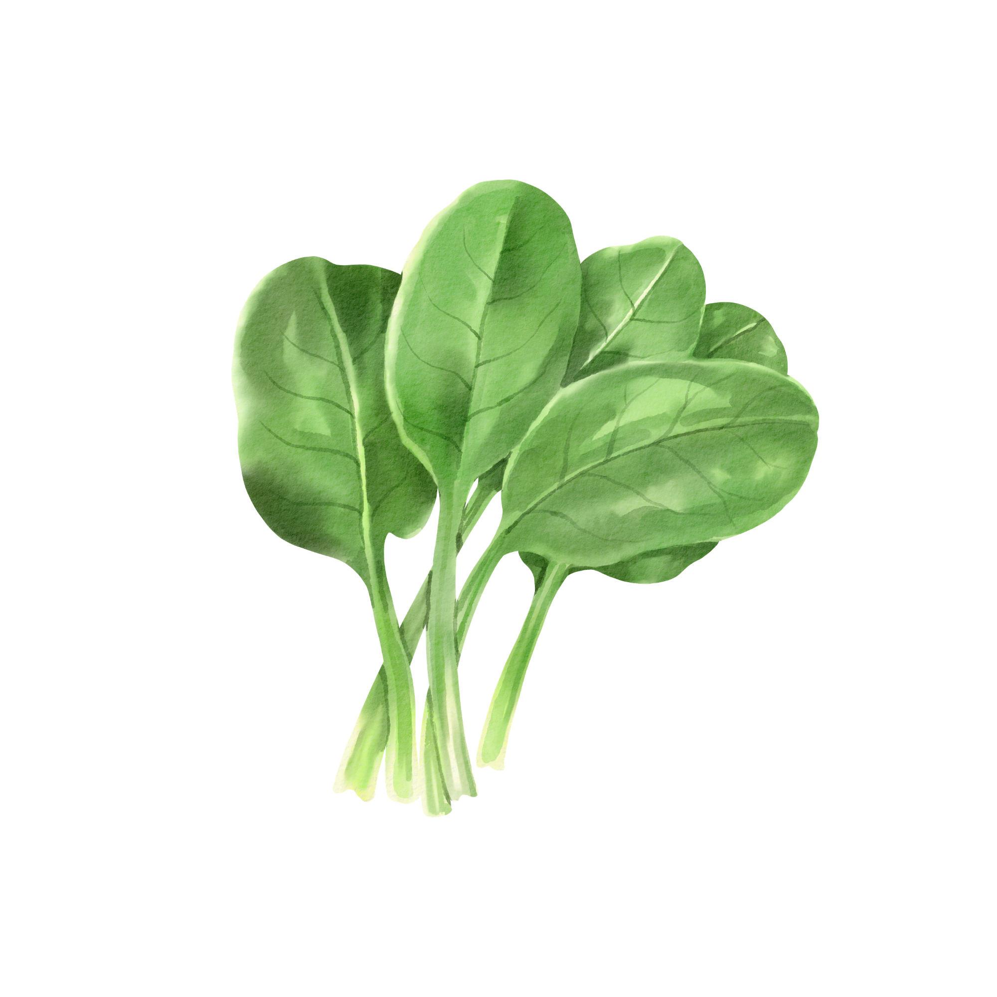 Spinach