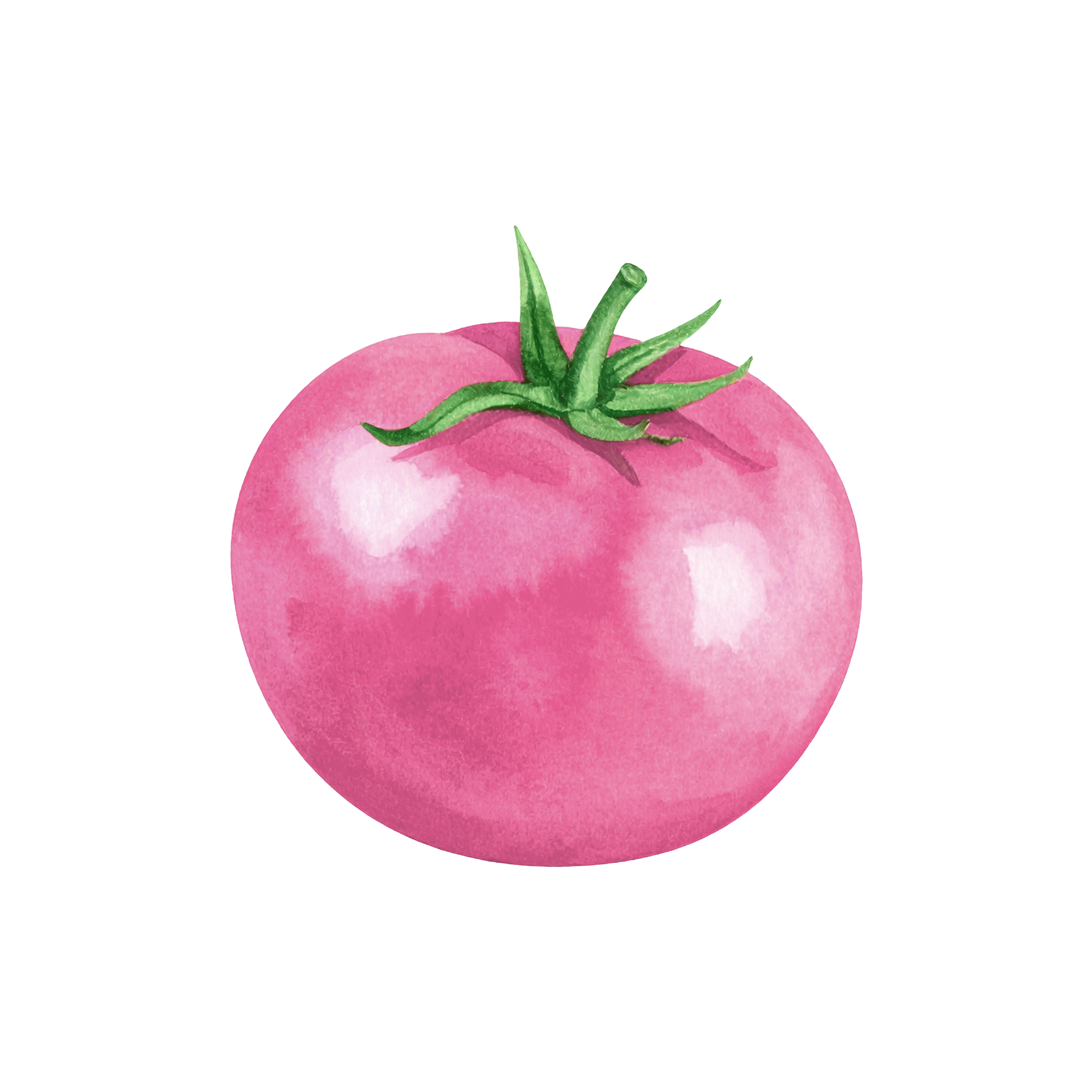 Big Pink Tomato