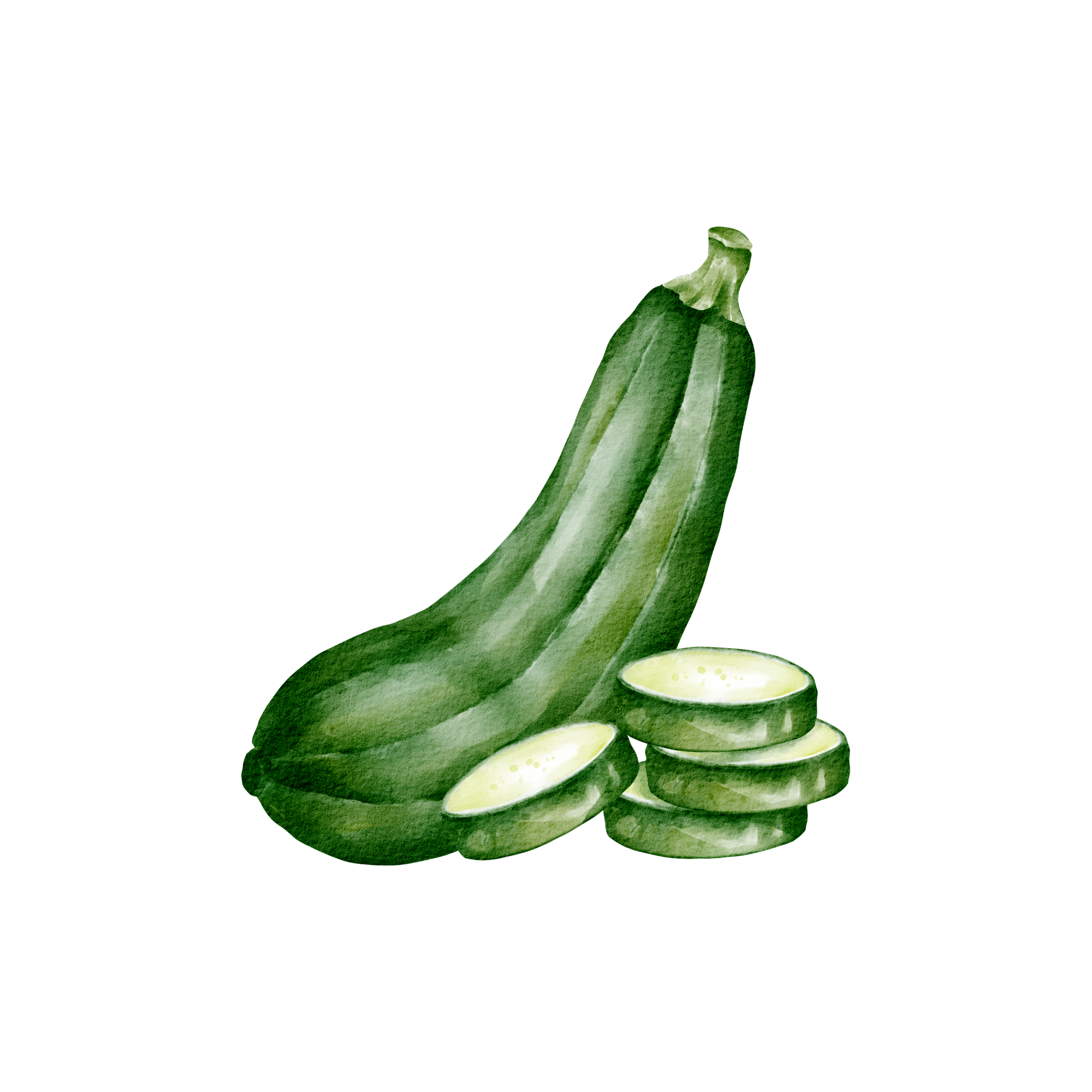 Zucchini