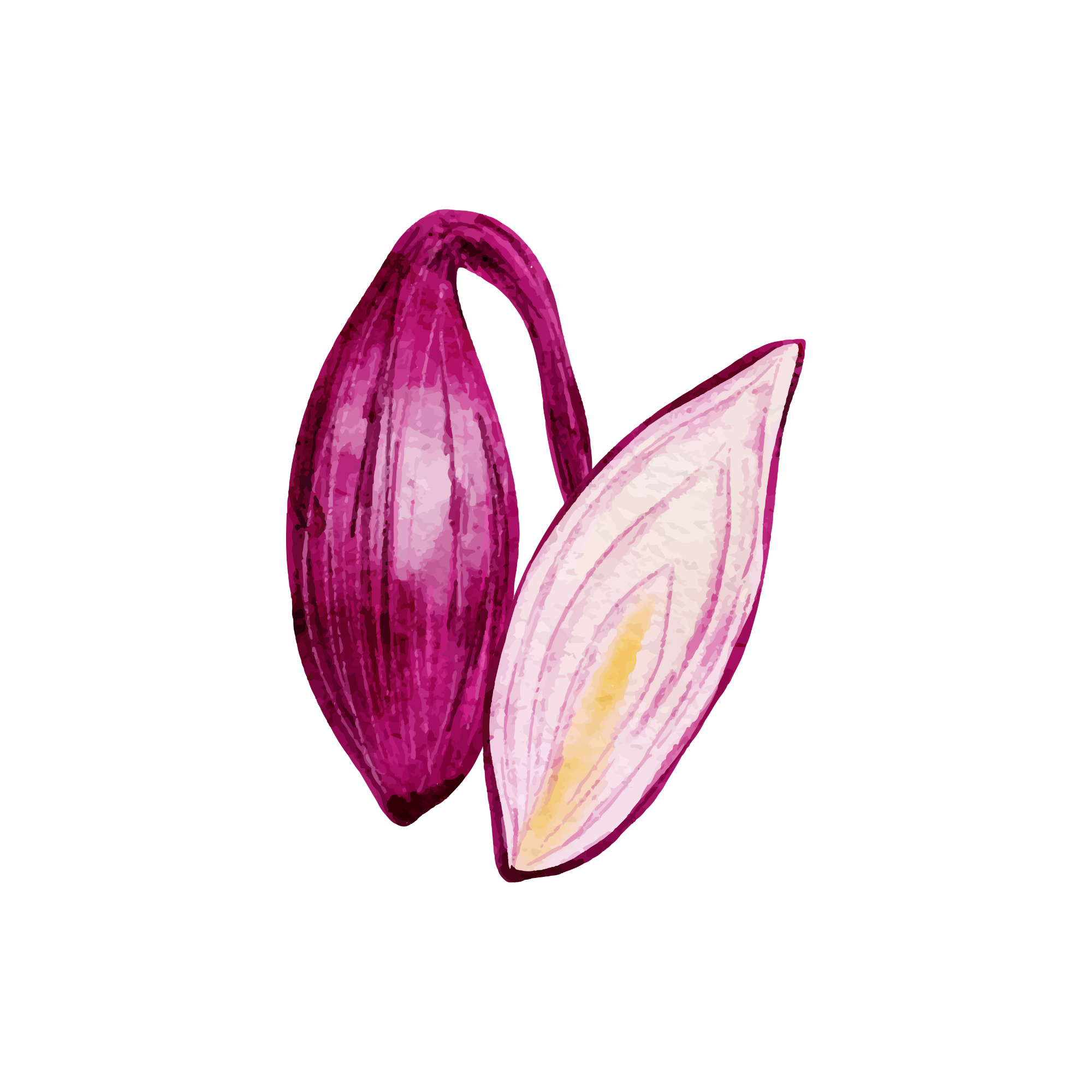 Shallot