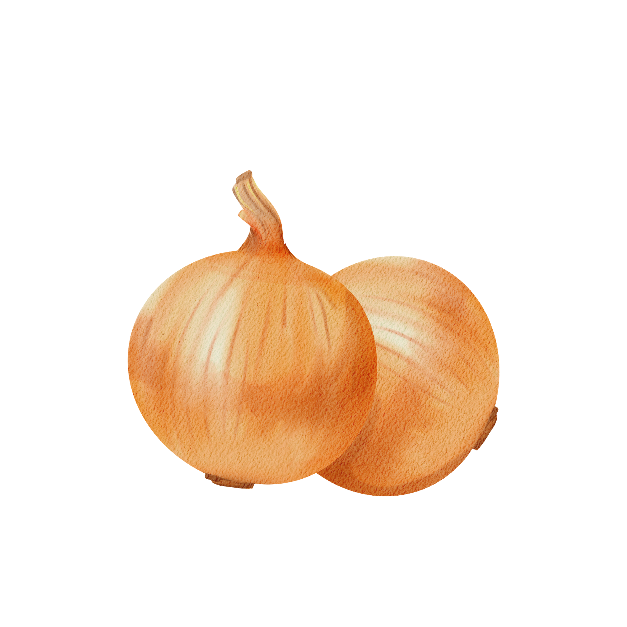 Yellow Onion