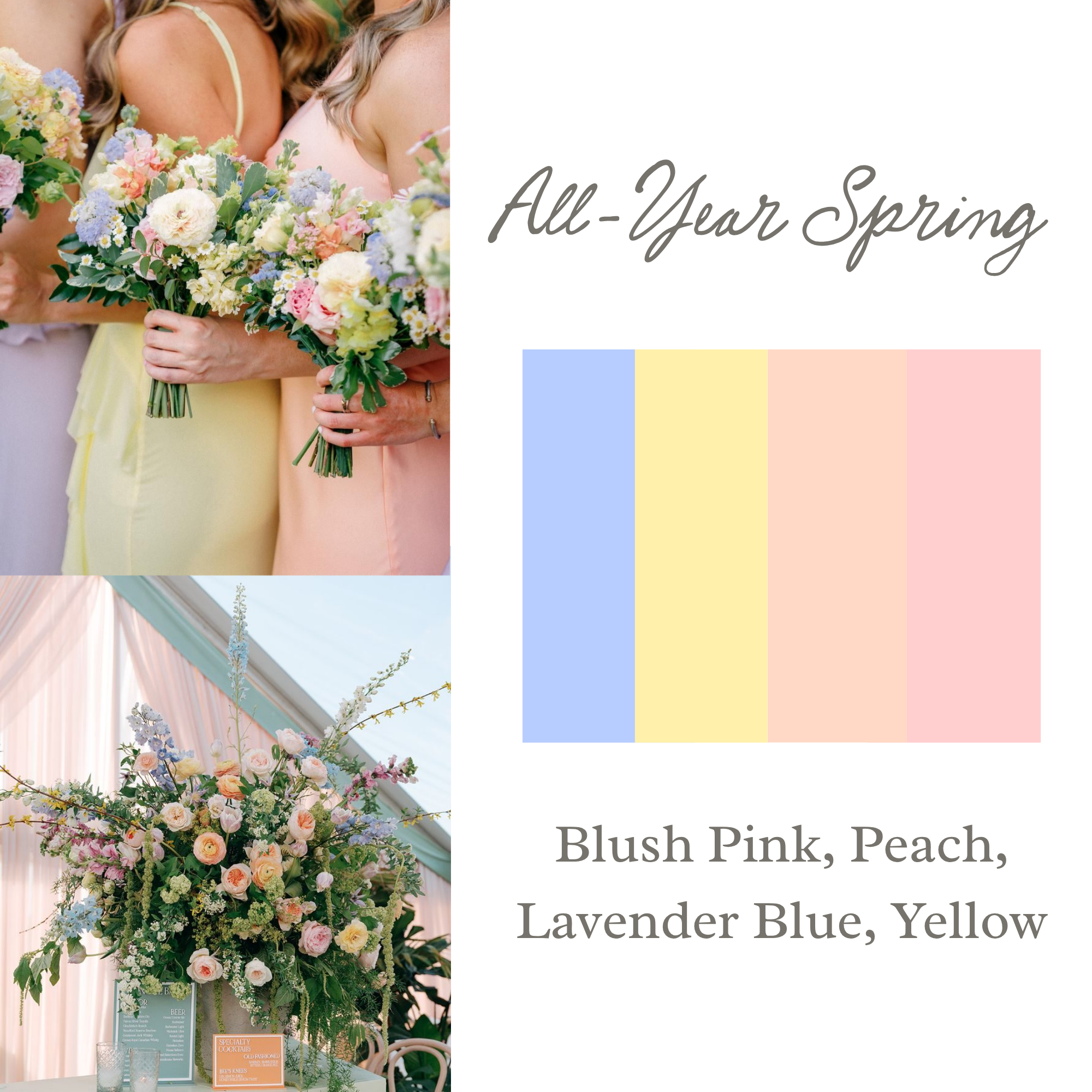 Spring (4).png