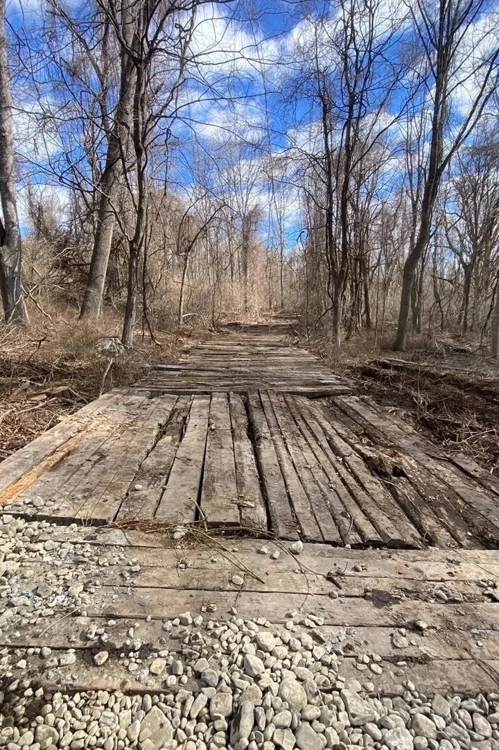 Bridgemat road created for access to the forest 