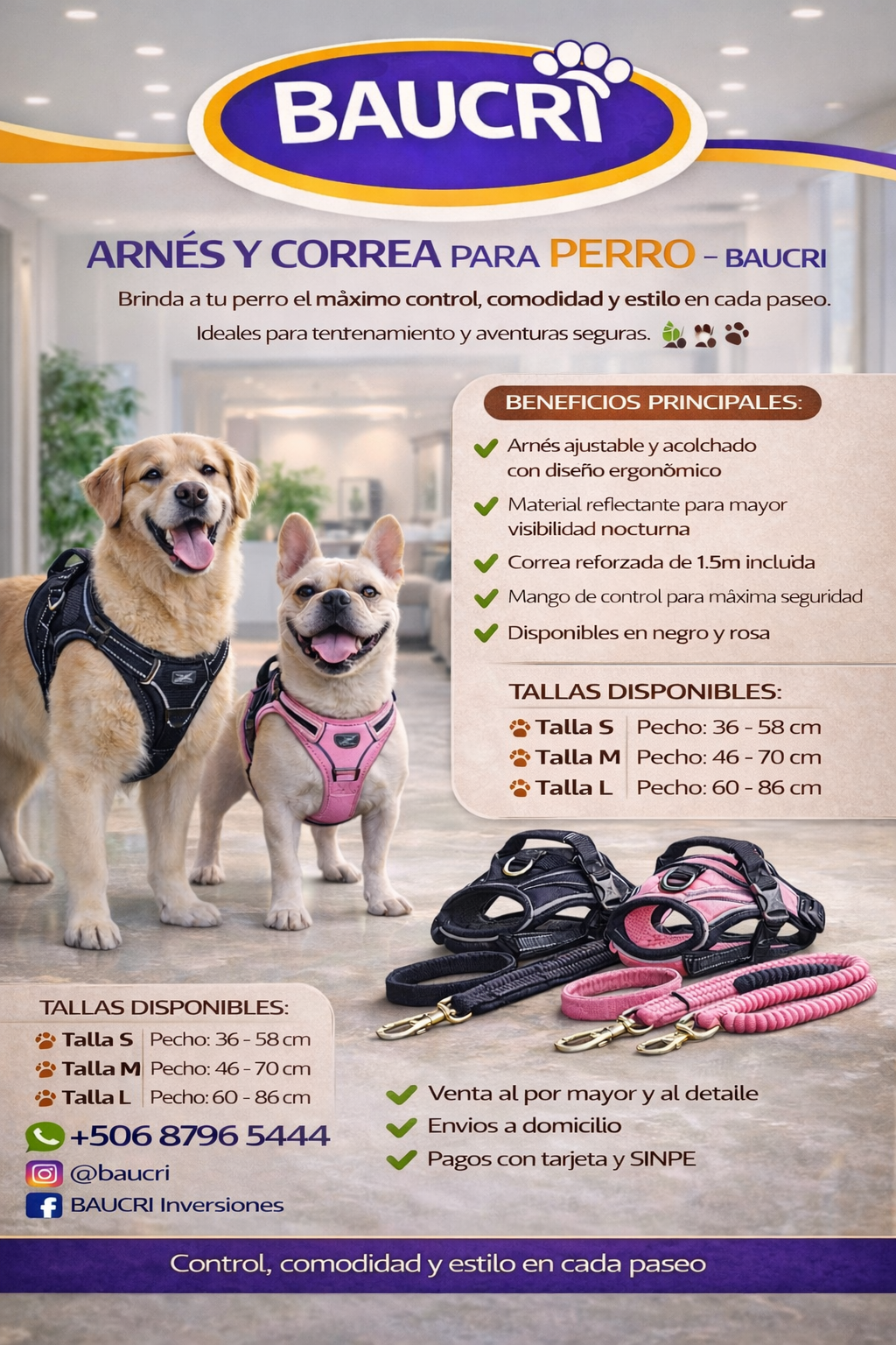 Arnés y Correa de Perro BAUCRI