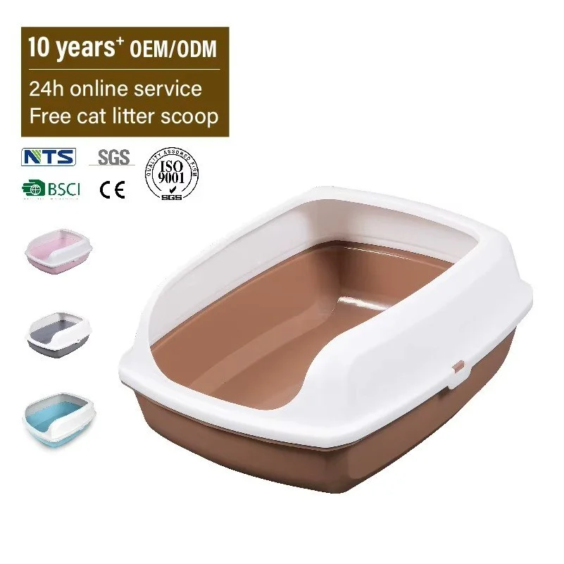 ARENERO CAFE TIPO D (2).jpg