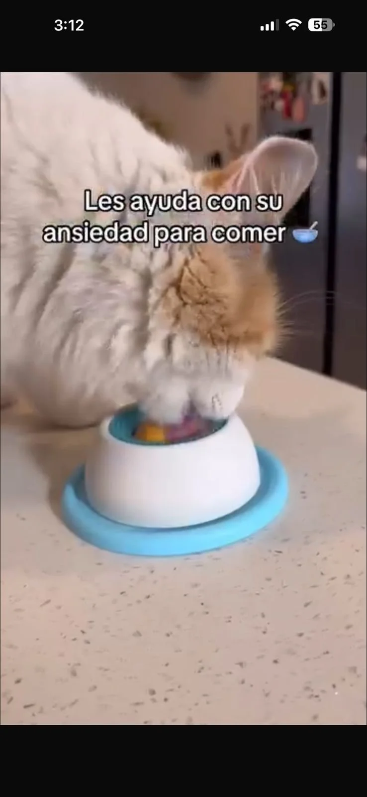 WhatsApp Image 2026-04-10 at 3.13.52 PM.jpeg