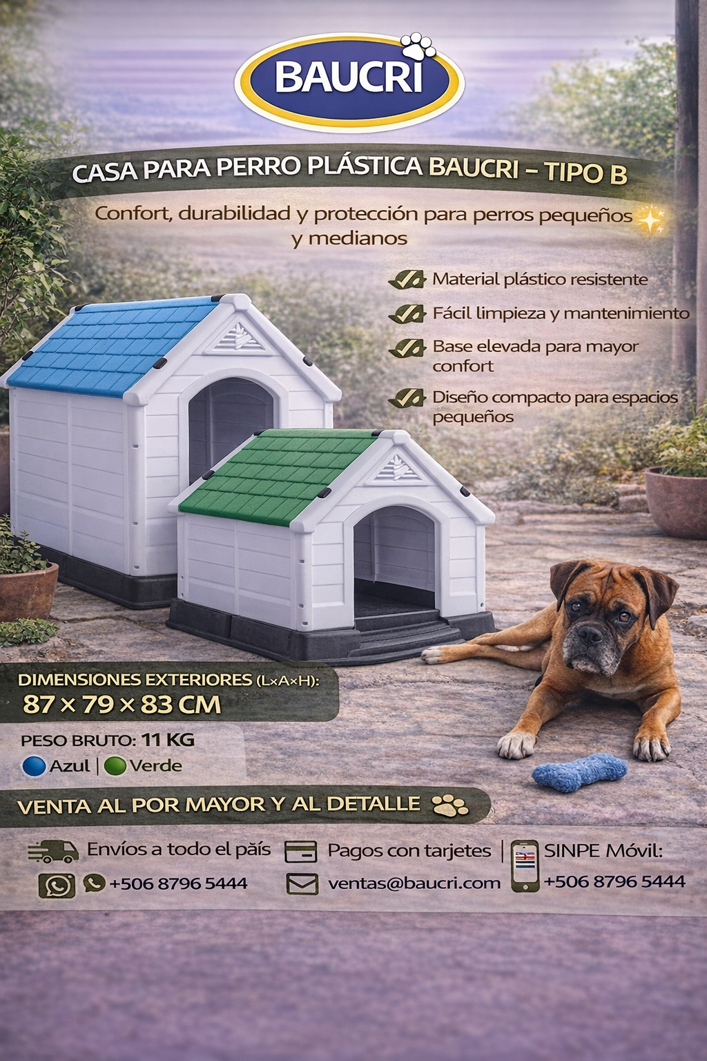 ChatGPT Image 7 feb 2026, 02_55_42 p.m..png