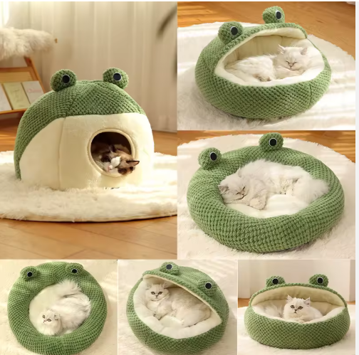 Captura de pantalla 2026-02-10 185654.png