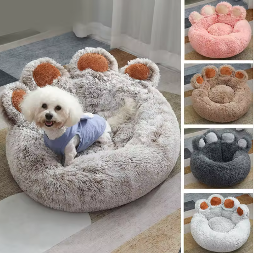 Captura de pantalla 2026-02-10 164327.png