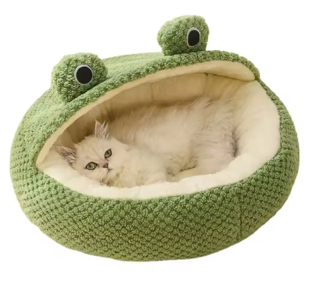 Captura de pantalla 2026-02-10 185629.png