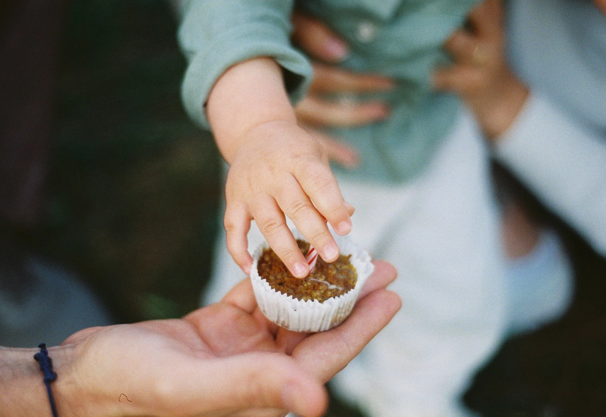Milo birthday analog – 28.JPG
