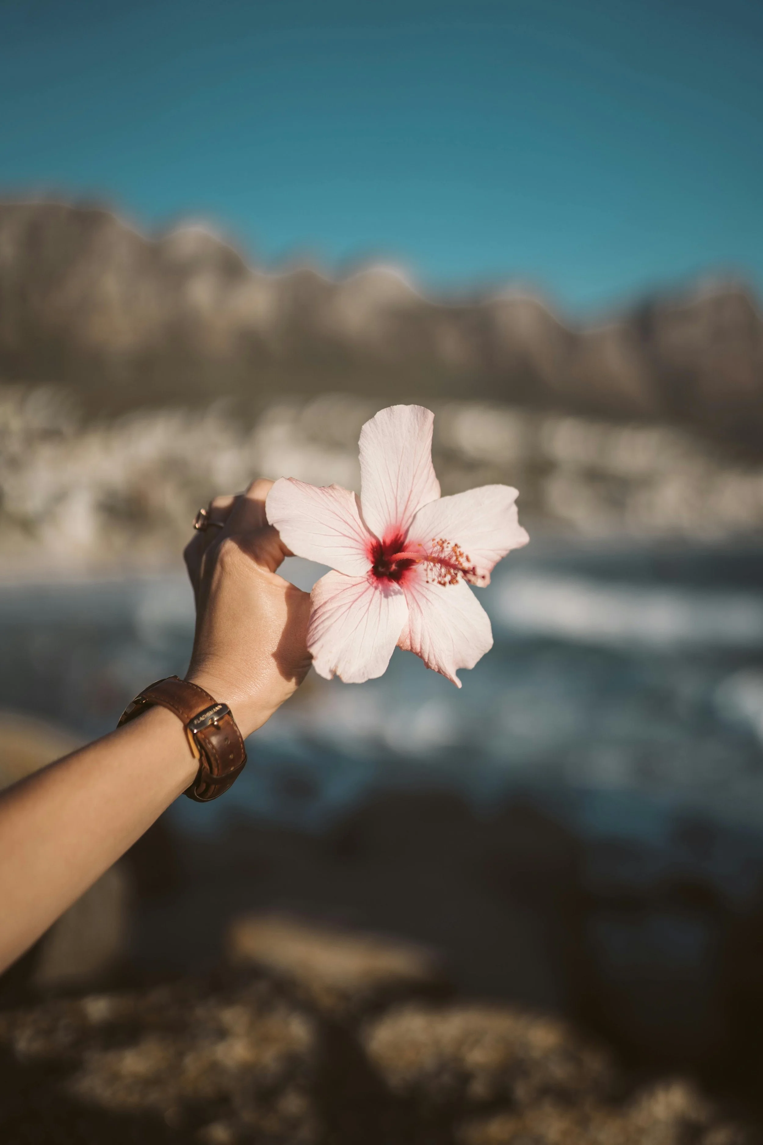 Accompagnement humain et intentionnel pour le bien-être corps & esprit