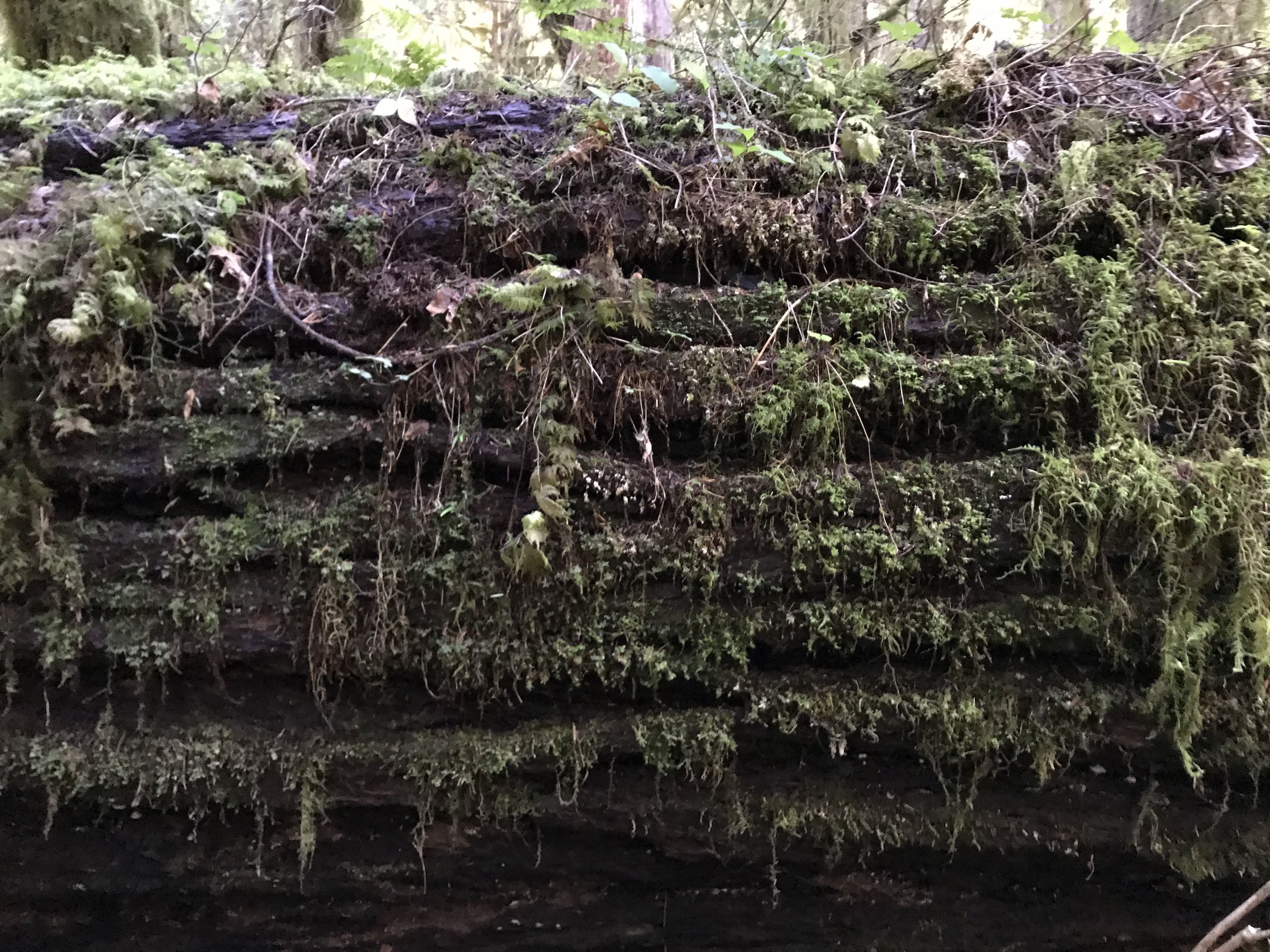 Concepts and terminology