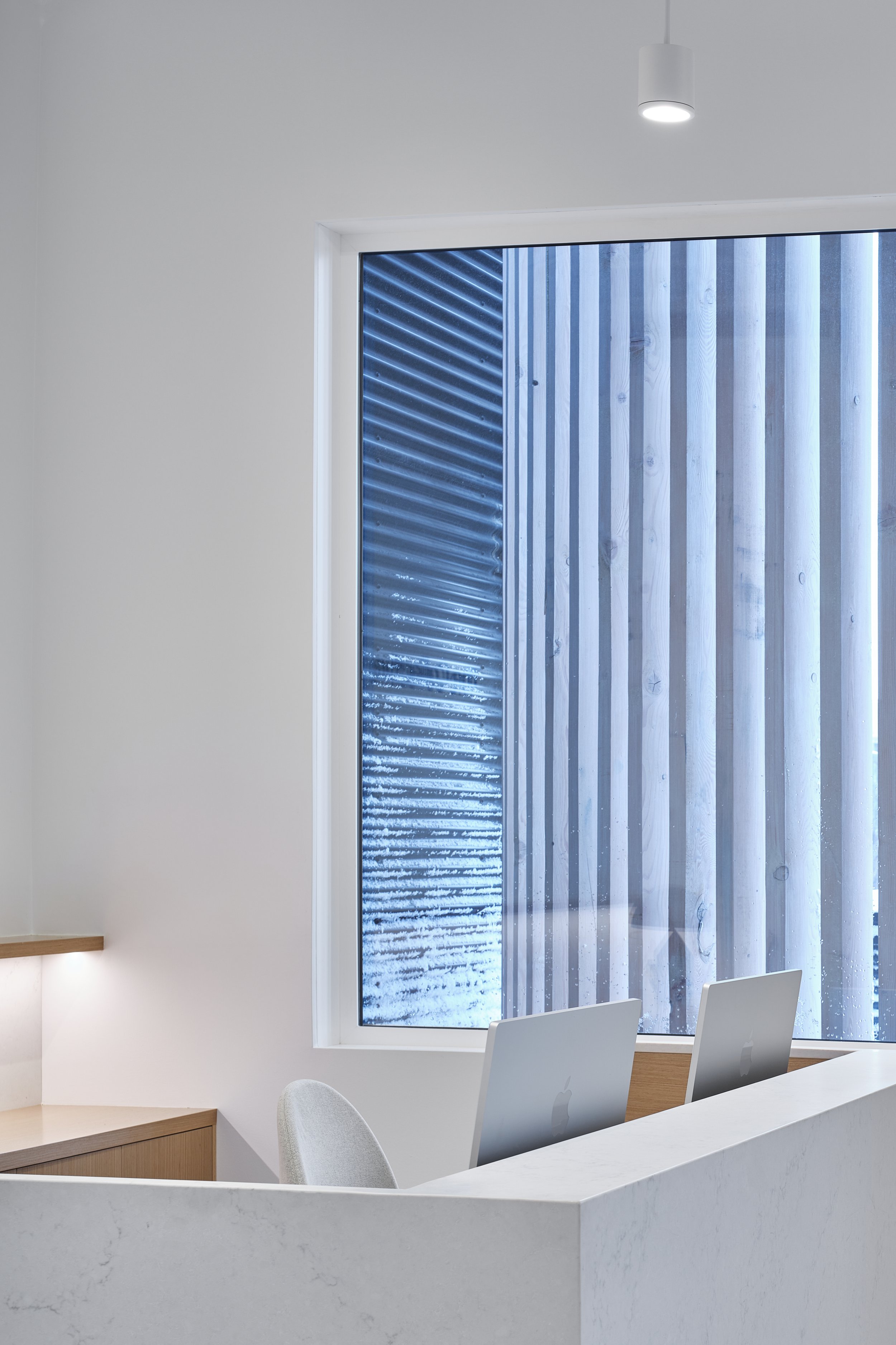 02-The Collective.jpg