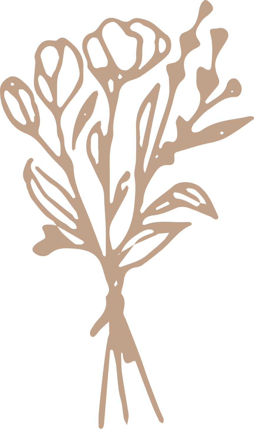 A simplified illustration of a bunch of seaweed or kelp with multiple fronds, in beige color against a black background.