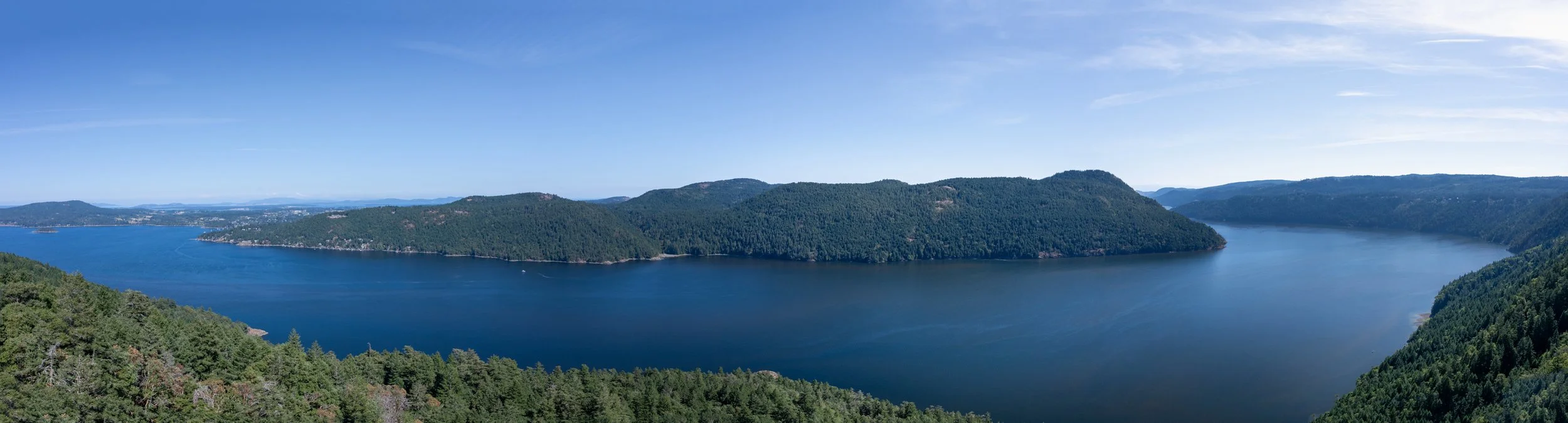 2025-08-03 Vancouver Island-_DSC2314-Pano.jpg
