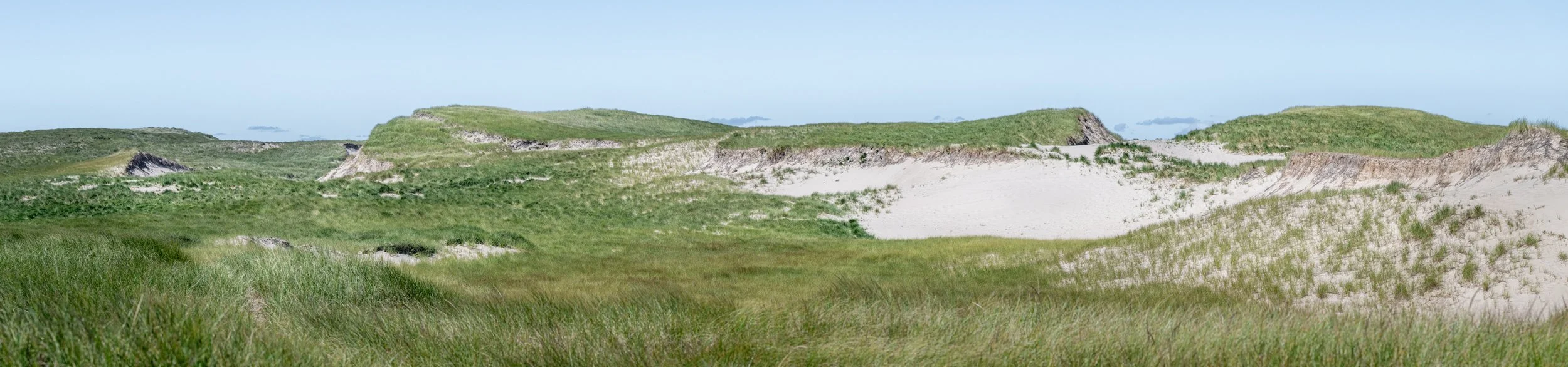 2025-09-12 Sable Island-38.jpg