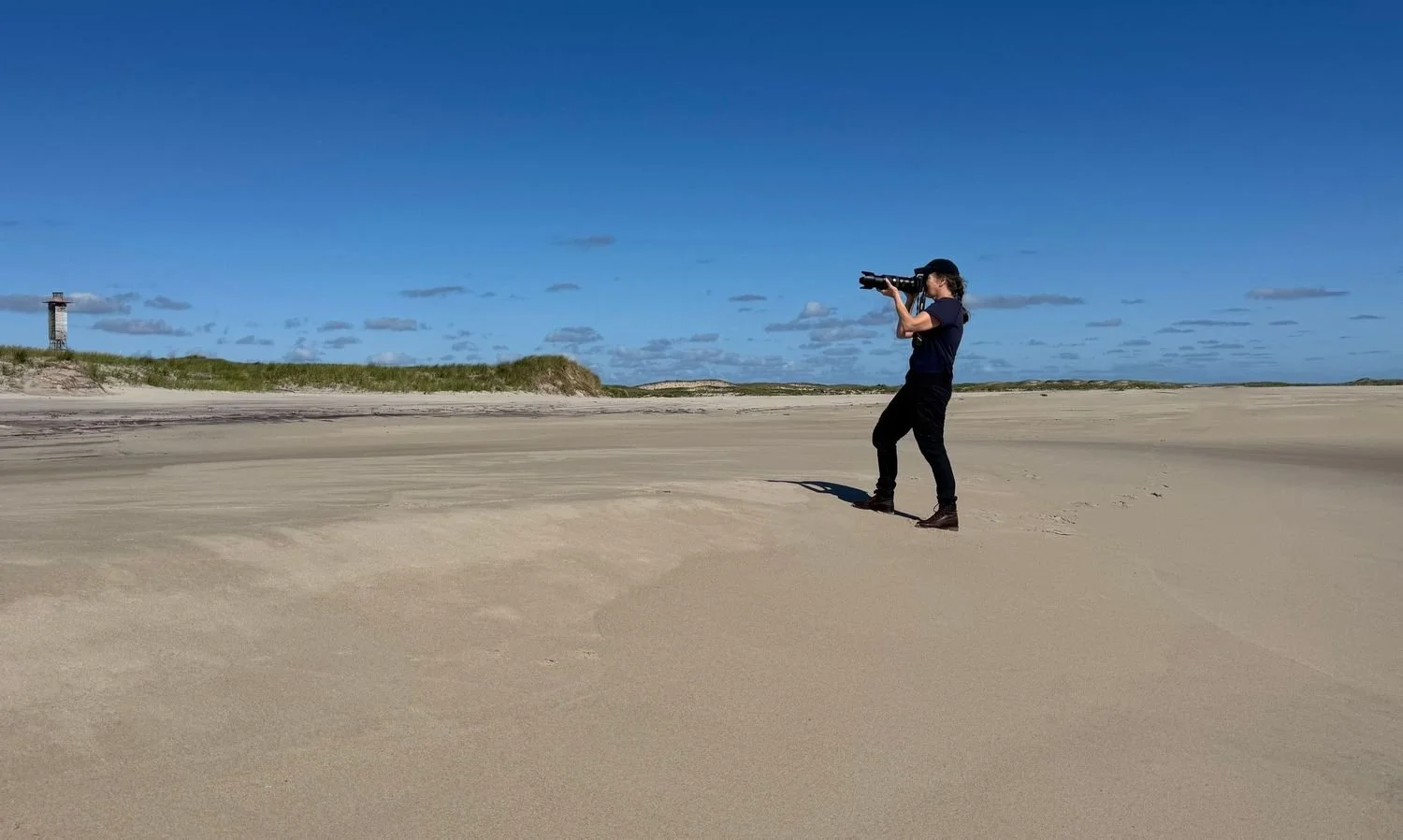 Photographing wild horses on Sable Island. Image Credit: Michelle Valberg