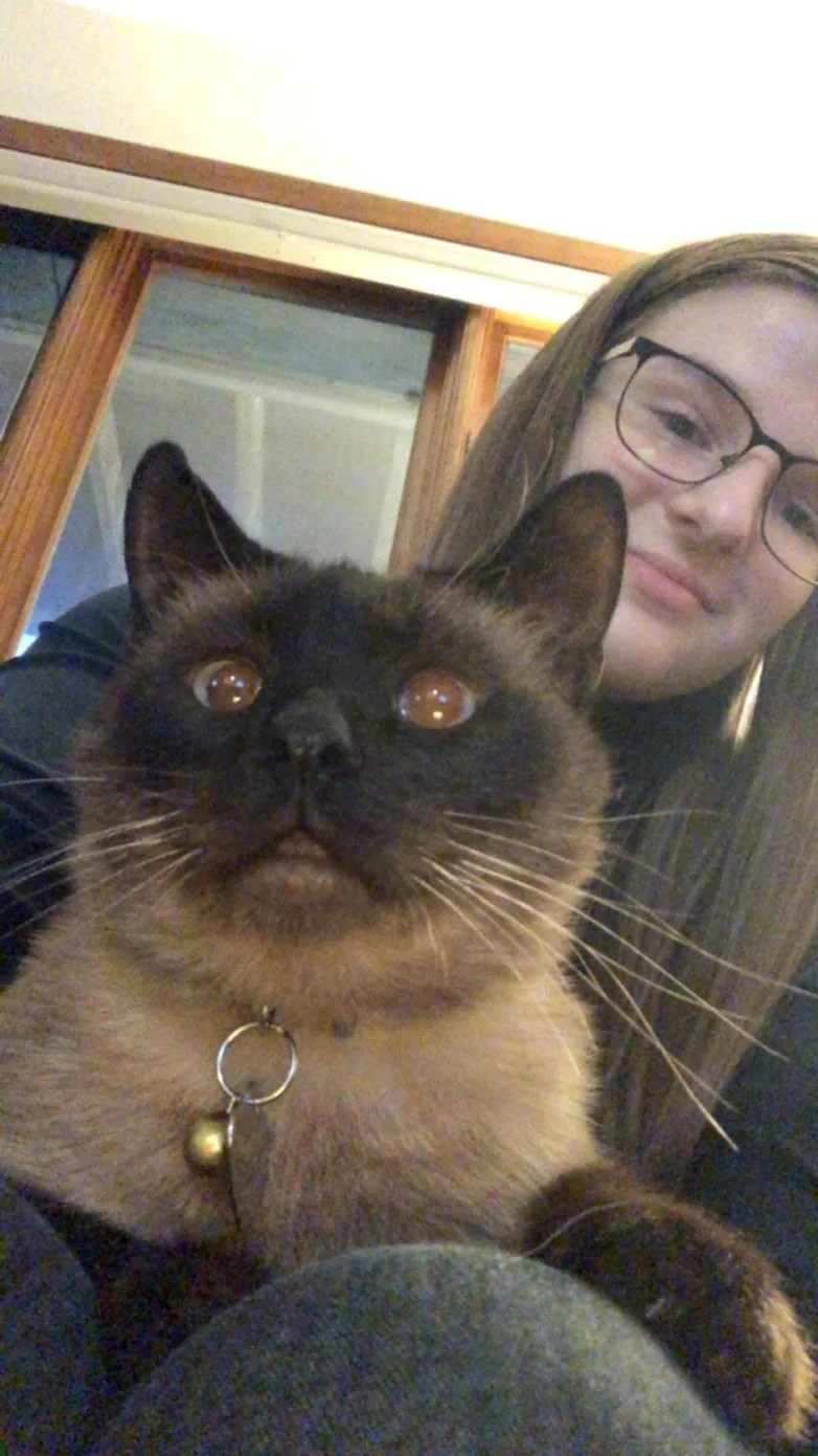 A young woman with long hair and glasses taking a selfie with her Siamese cat.