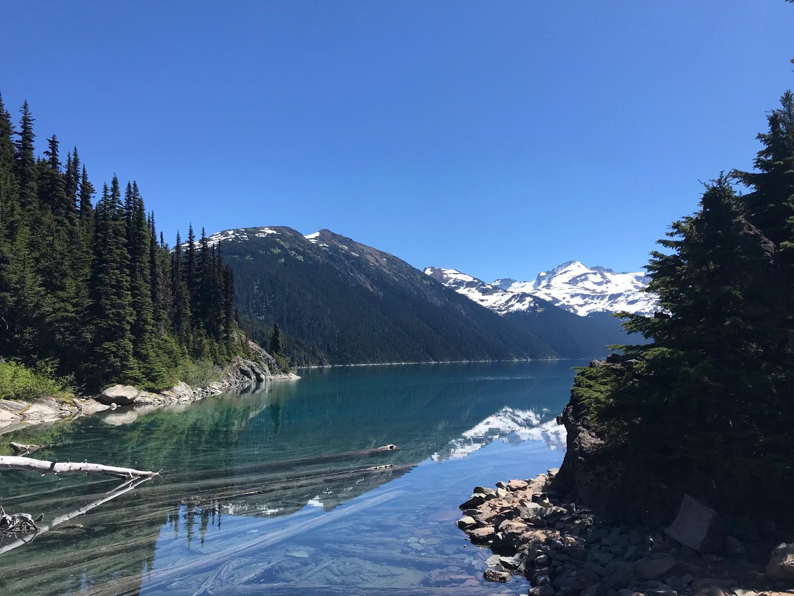 Scenic view of a mountain lake surrounded by pine trees and snow-capped mountains under a clear blue sky.