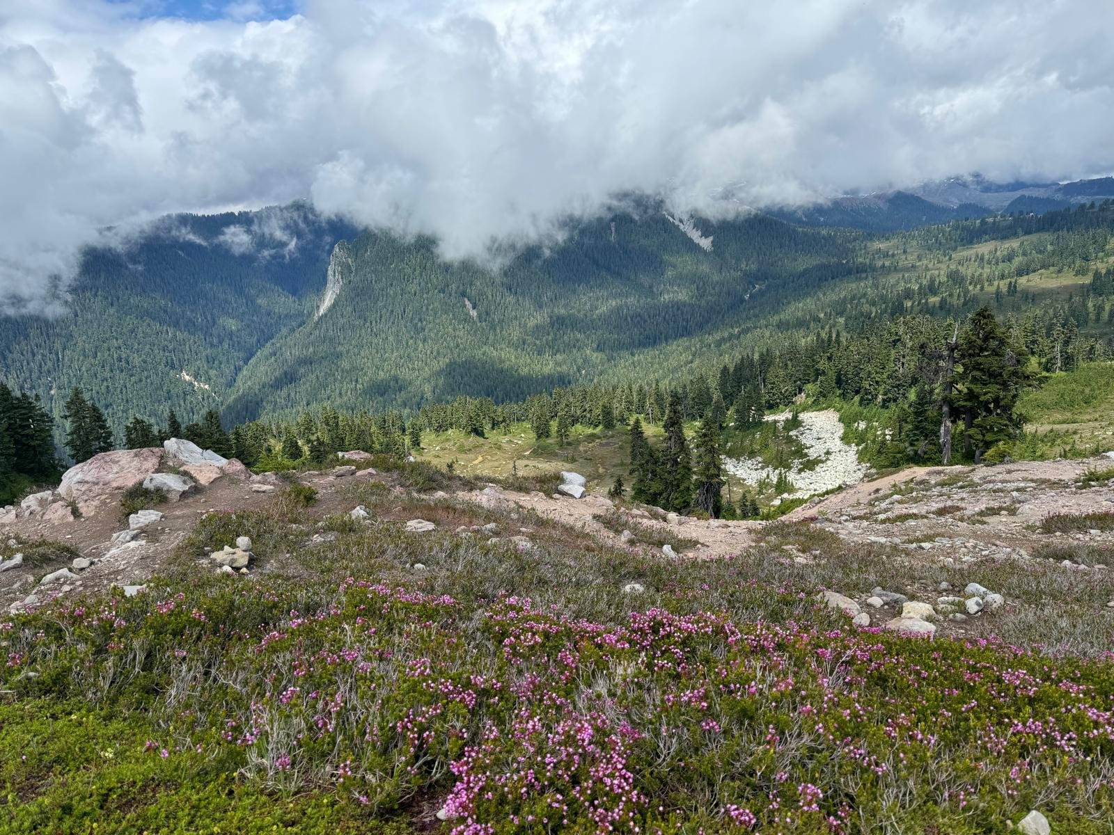 A view of a lush mountain landscape with pink wildflowers in the foreground, dense green forests covering the hills, and partly cloudy skies above.