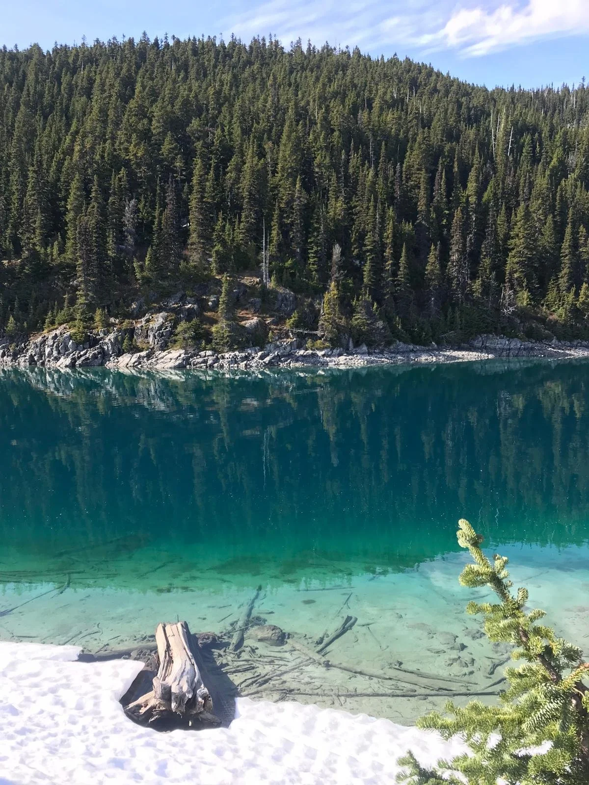 A tranquil mountain lake with clear turquoise water, snow-covered shoreline, a small pine tree, and a forested mountain in the background.