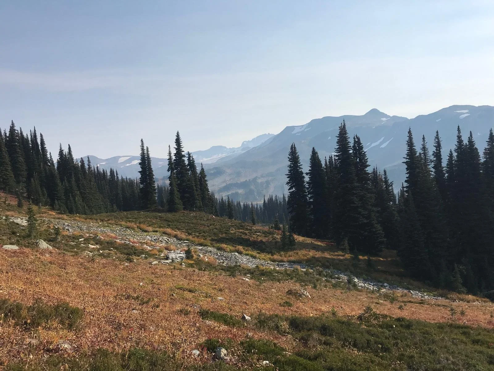 Scenic view of a mountain landscape with evergreen trees, rocky terrain, and snow-capped peaks in the distance under a clear sky.