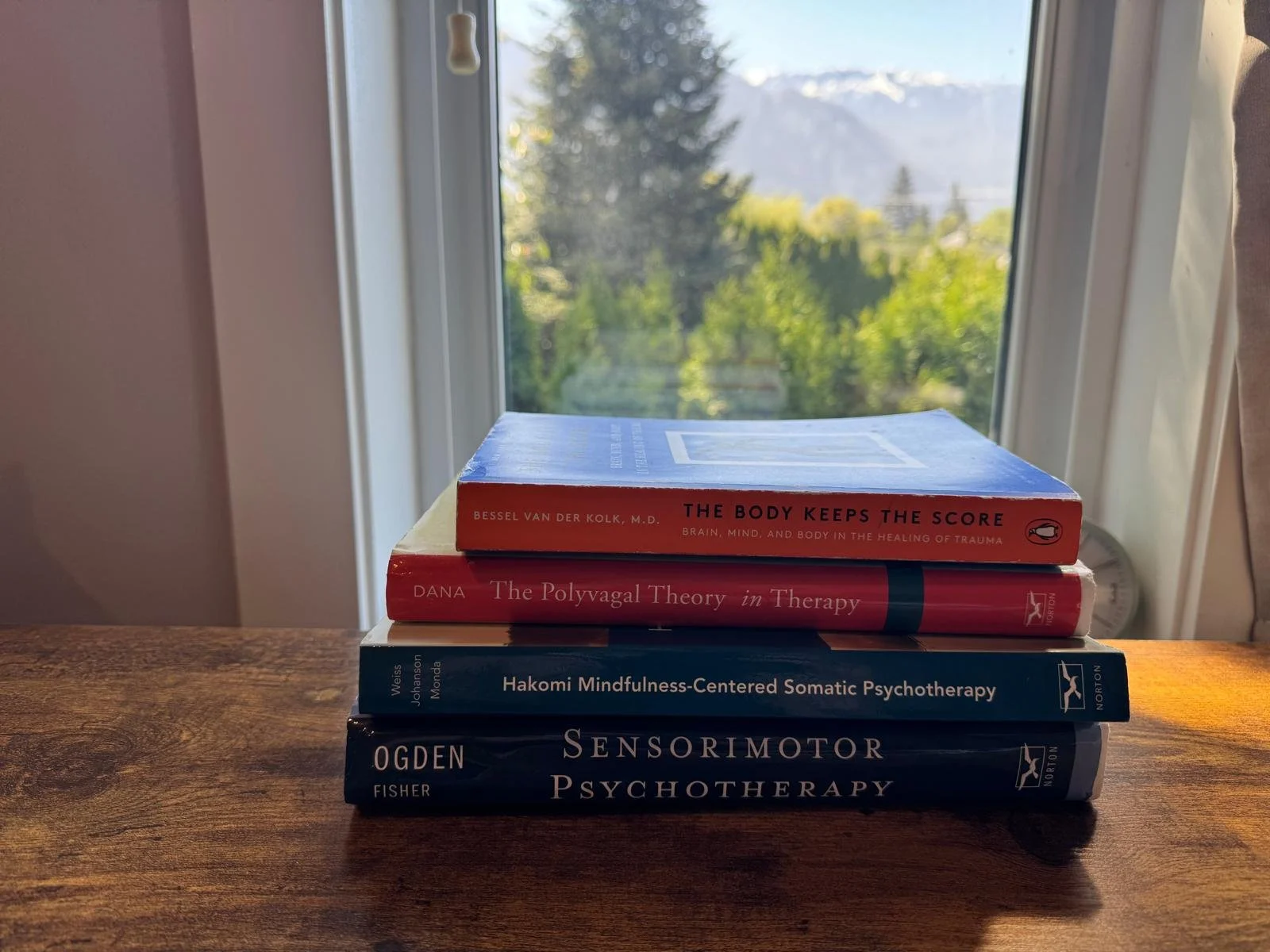 Stack of four psychology and therapy books on a wooden surface in front of a window overlooking trees and mountains.
