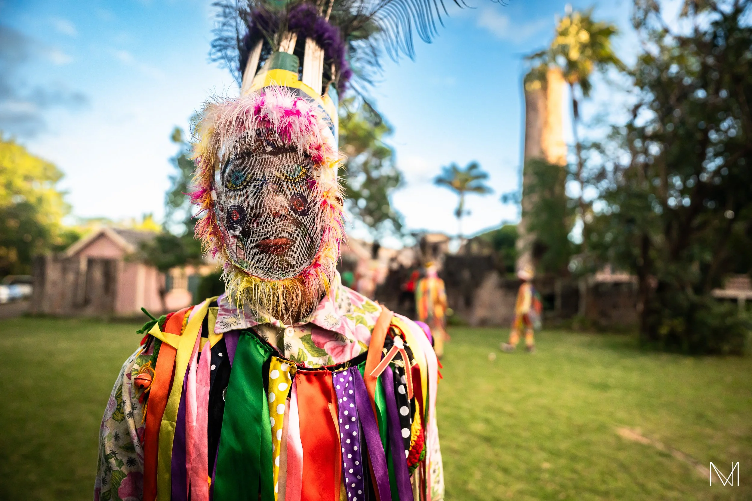 The Honeybees, Traditional Masquerade, Nevis