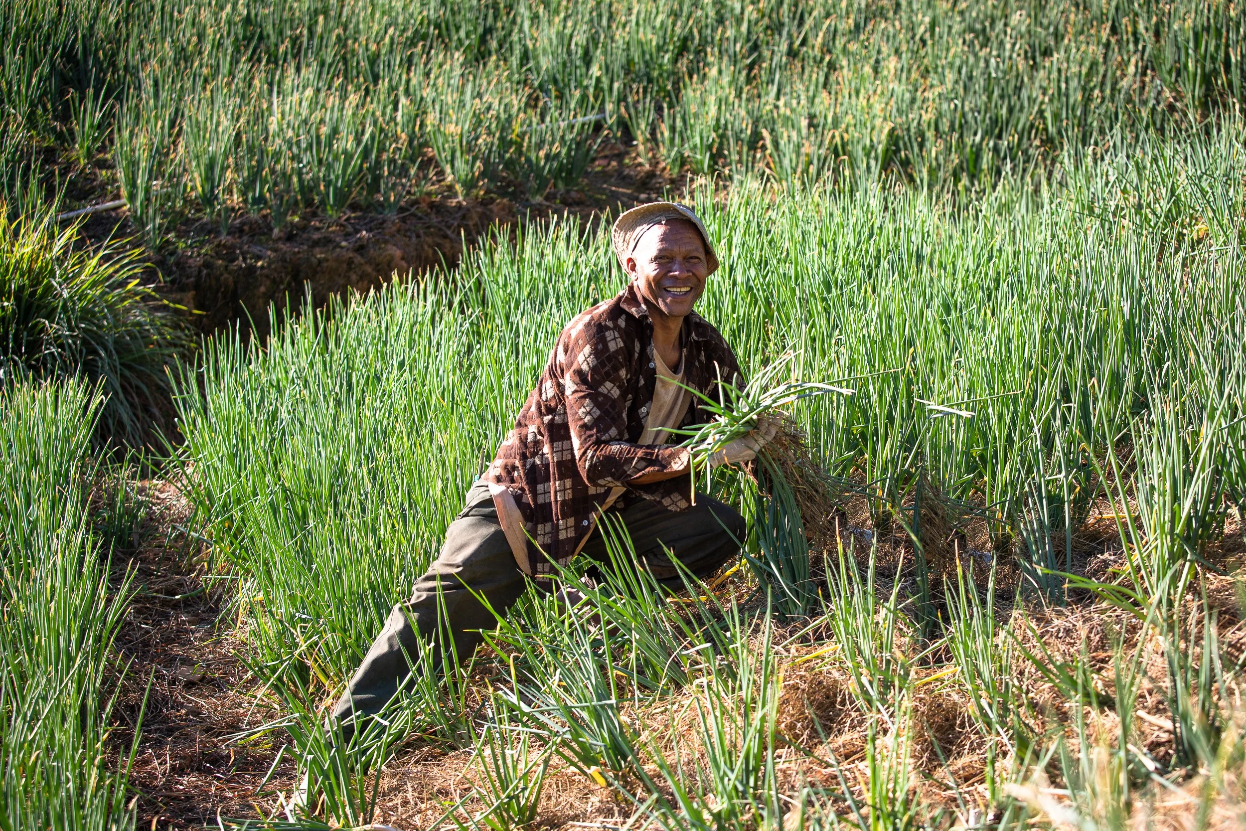 Portraits of Trinidad