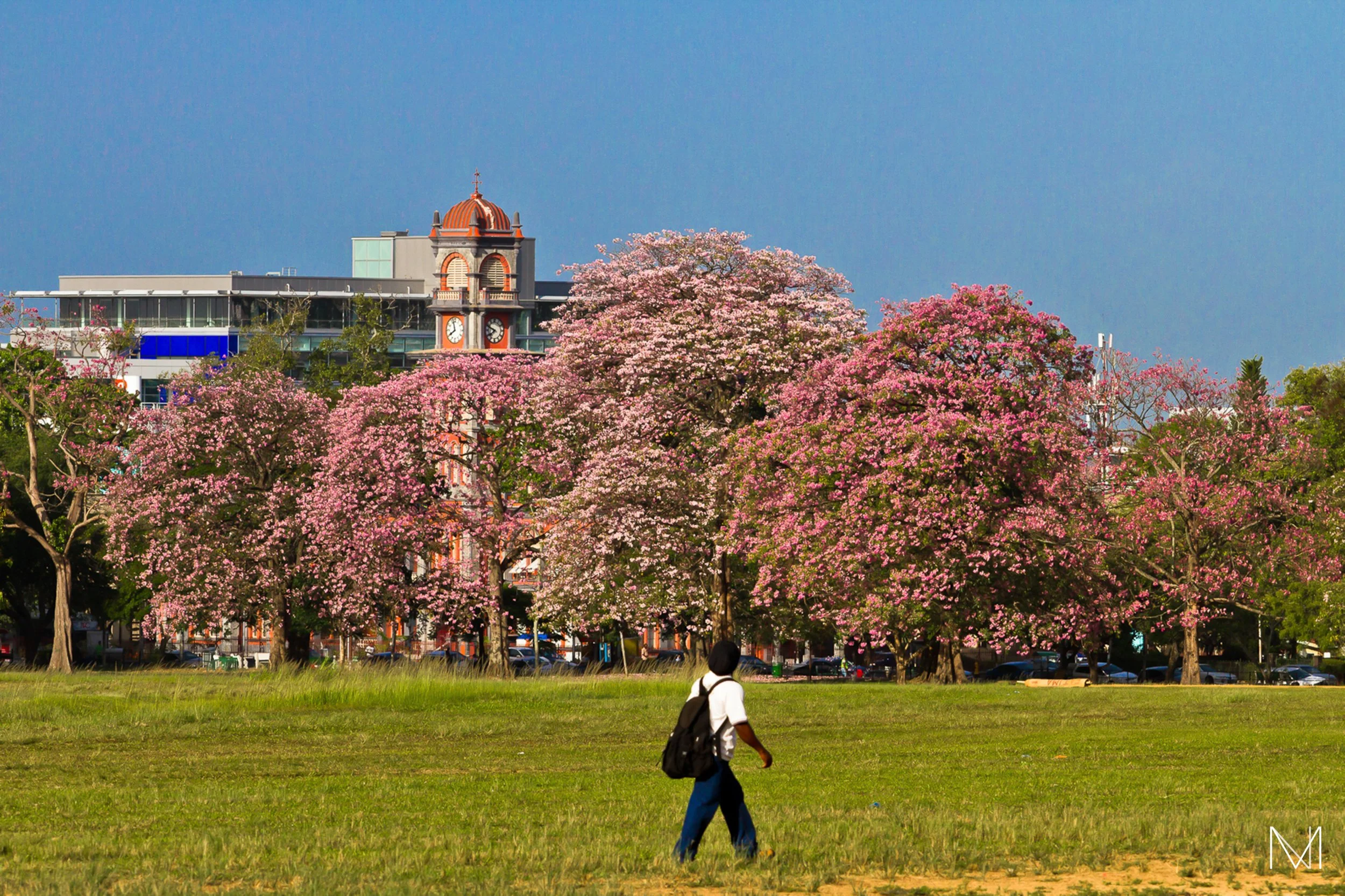 The Savannah, Port of Spain, Trinidad and Tobago
