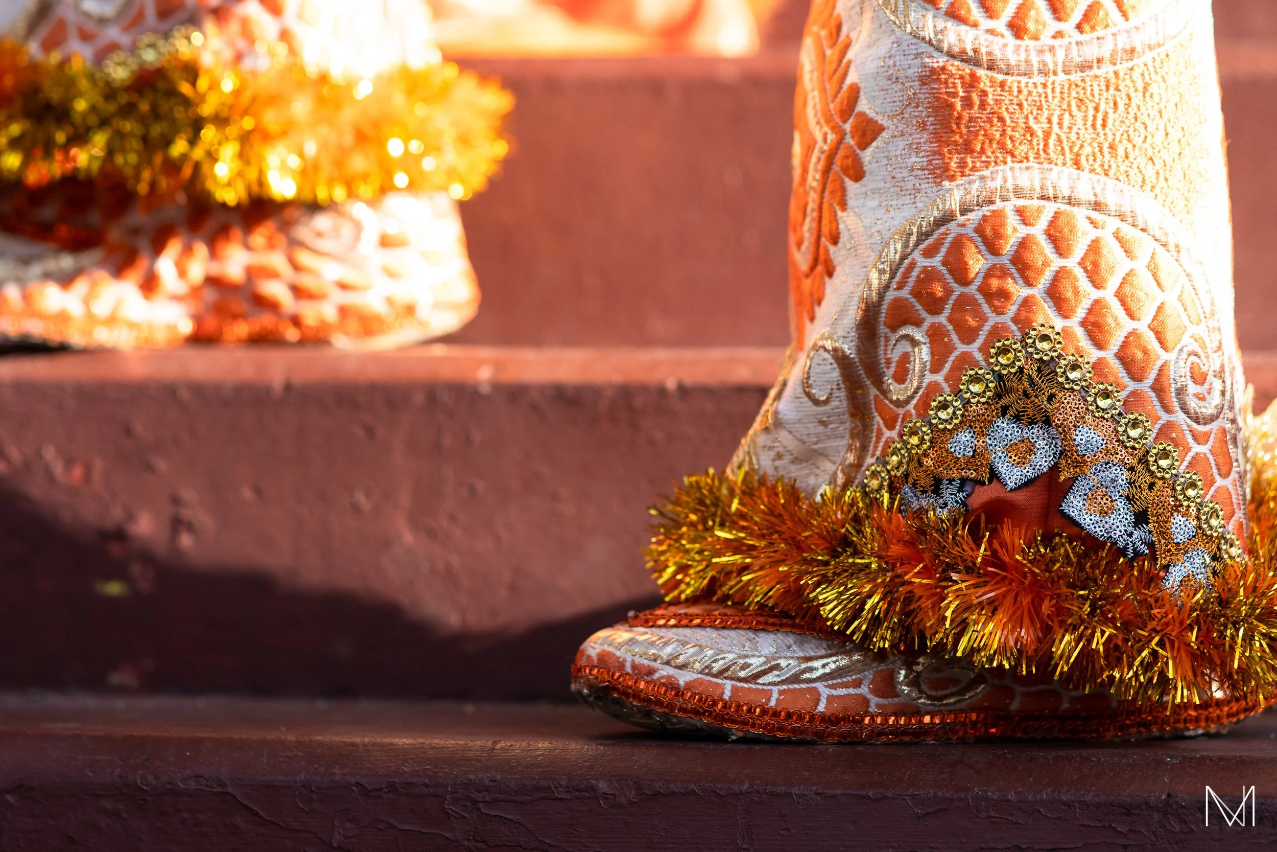 Fancy Sailor detail, Trinidad and Tobago
