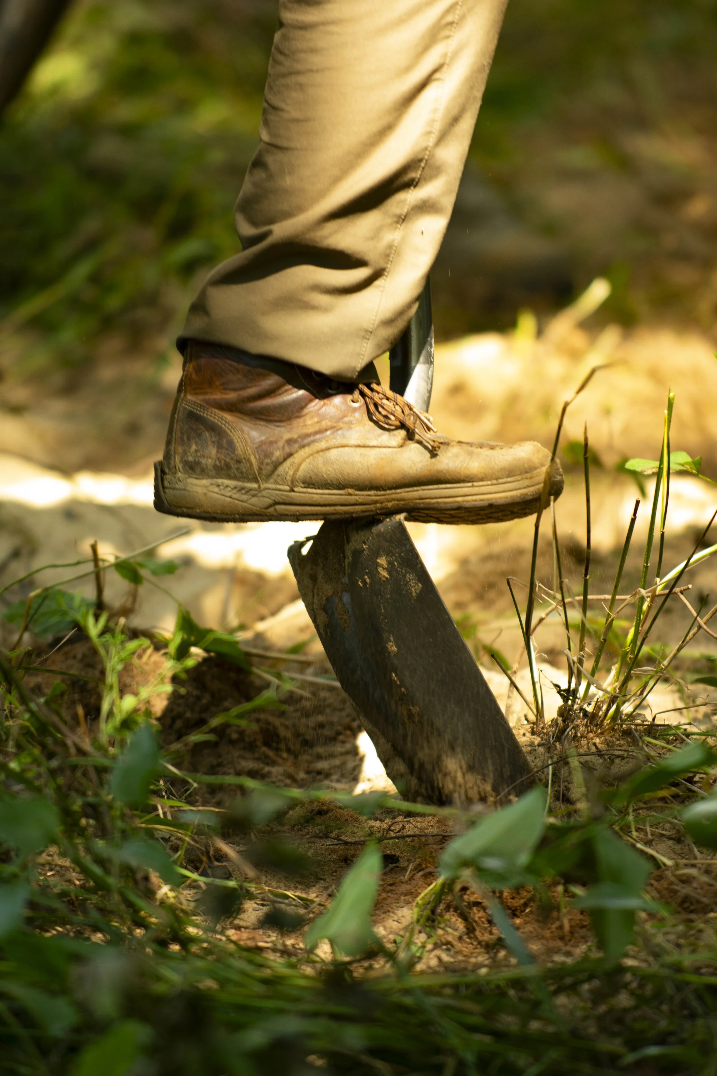 Saxaphaw (5 of 25).JPG