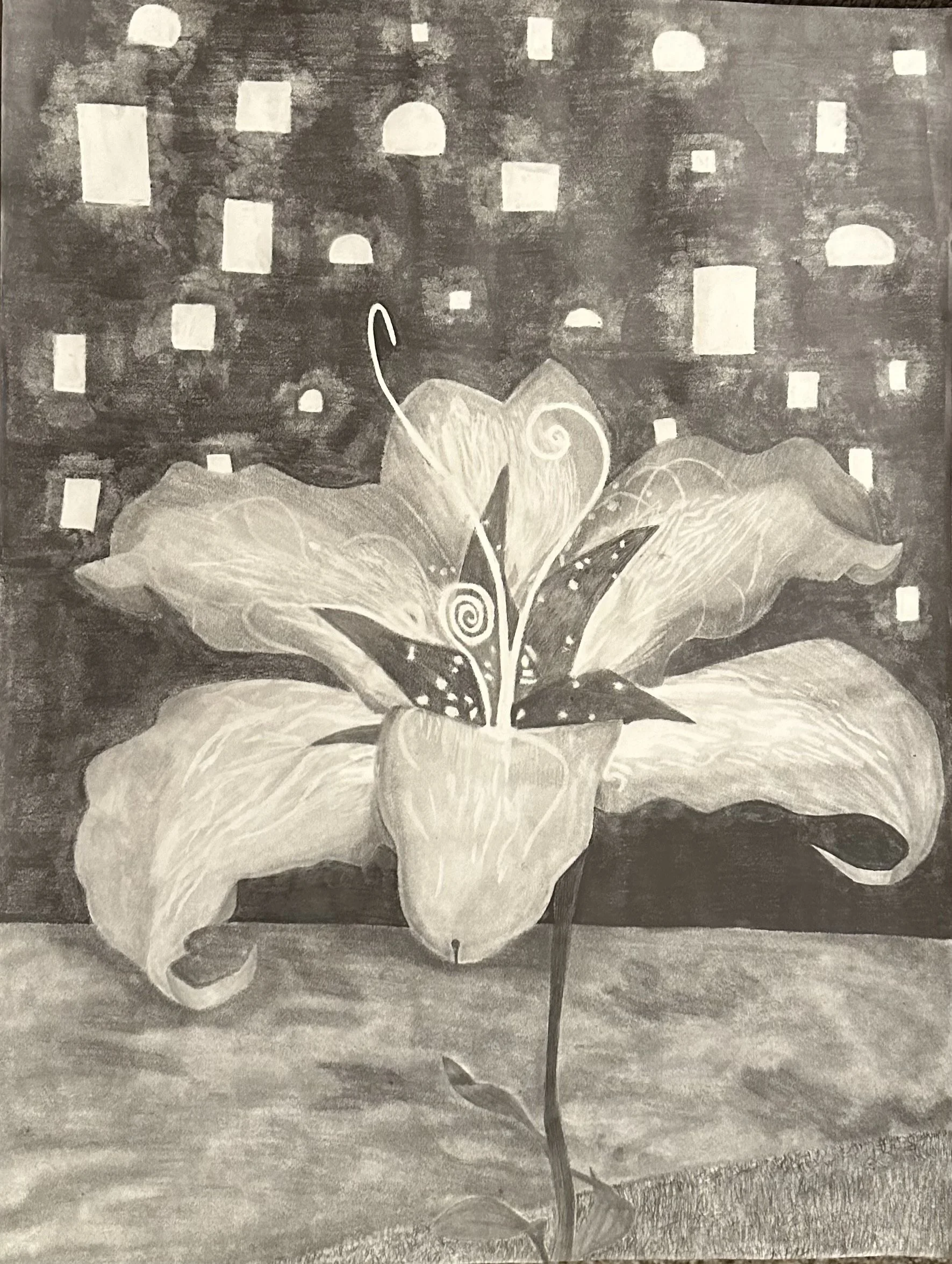 A black and white drawing of a plant with large leaves in the foreground and a starry sky with clouds in the background.