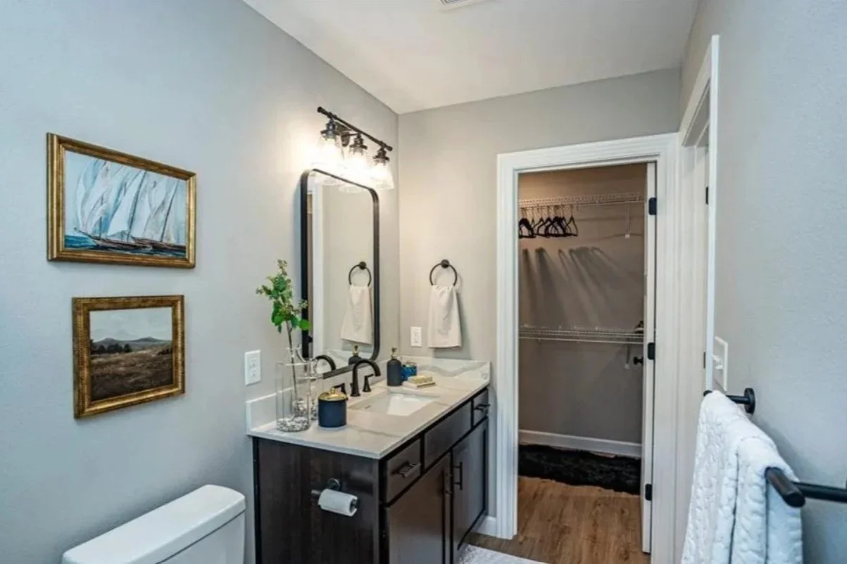 A bathroom with a vanity, mirror, framed artwork, a toilet, and a walk-in closet with hangers and a shelf.