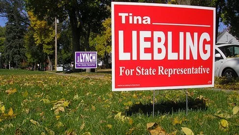 Political campaign signs for Tina Liebling and a local attorney or candidate named Lynch on a grassy area with fallen leaves.