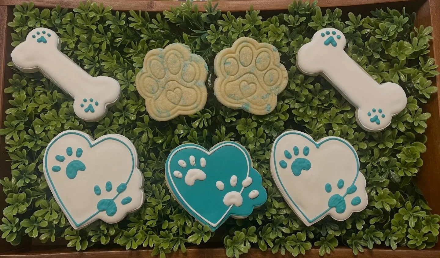 Come out to @urbandogbar today from 12-4! I will be at @thenationsanimalhospital tent giving away cookies!!! I also have dog treats to give away!