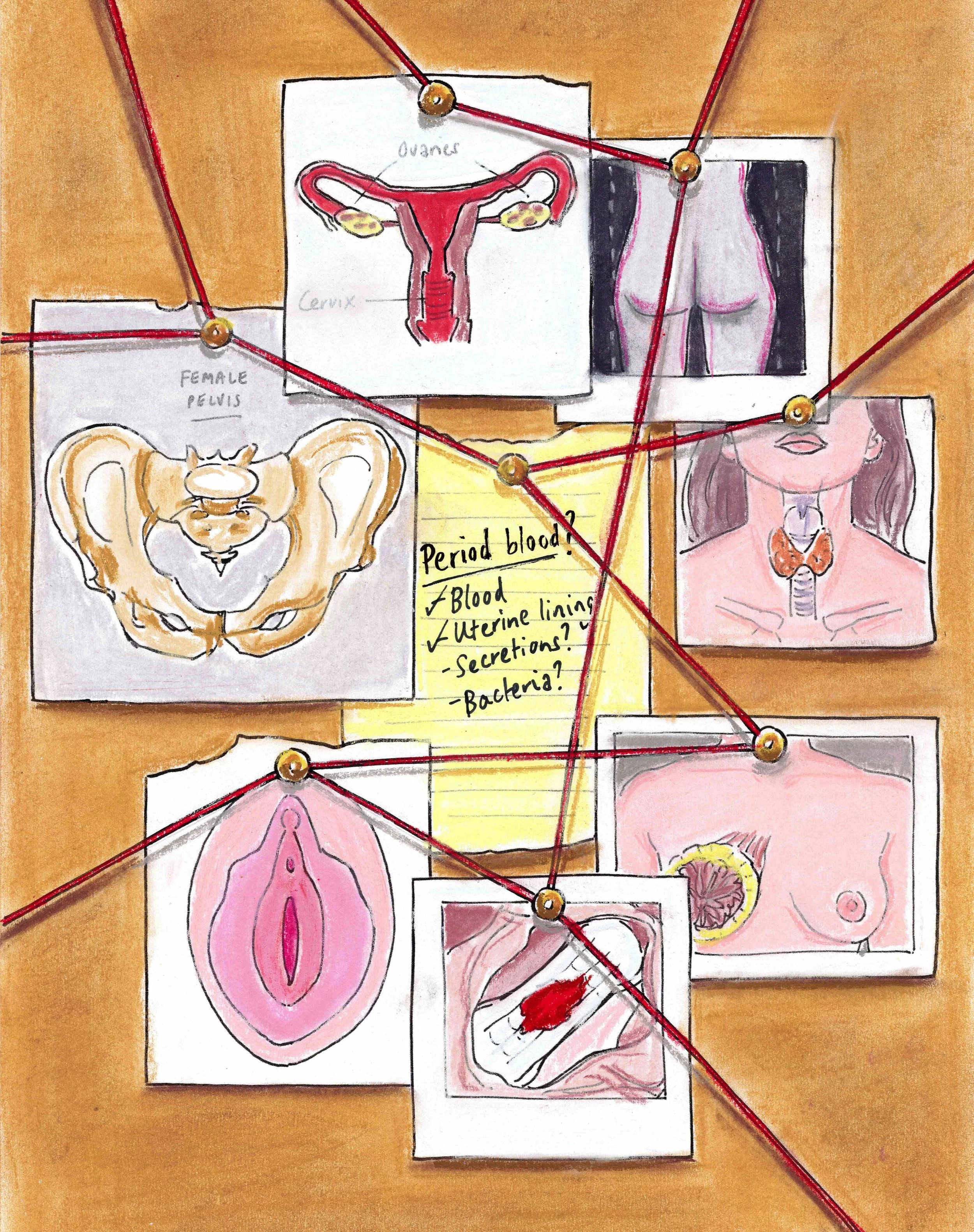 femalebodymystery_f.jpg