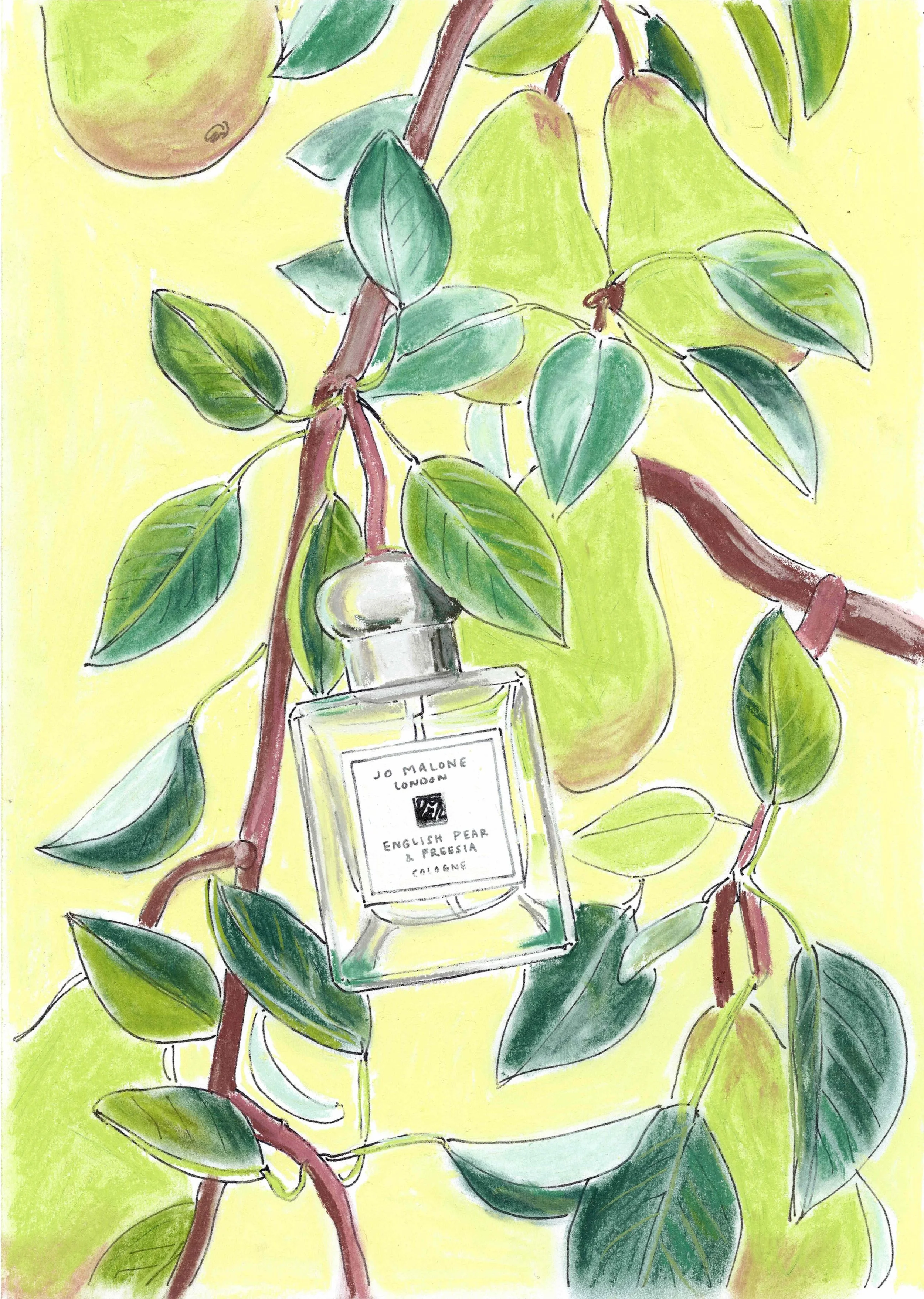 jomalone_pear.jpeg