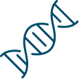 A simple blue DNA double helix icon against a white background,