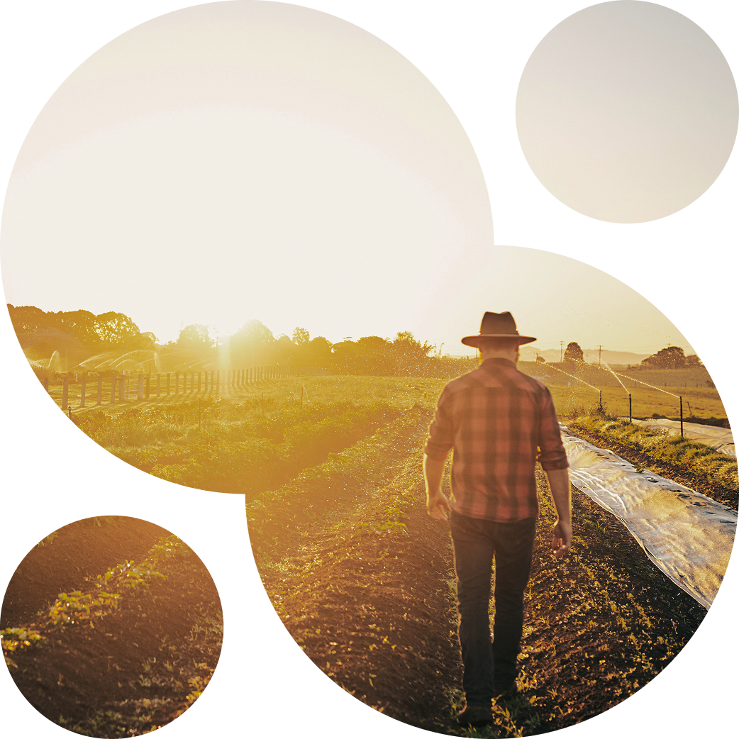 A farmer in a hat and plaid shirt walks through sunlit fields at sunrise. The scene is circularly cropped, conveying calm and contemplation.