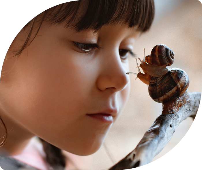 A curious child closely observes two snails on a branch. The child's expression conveys wonder and fascination, set against a soft, blurred background.