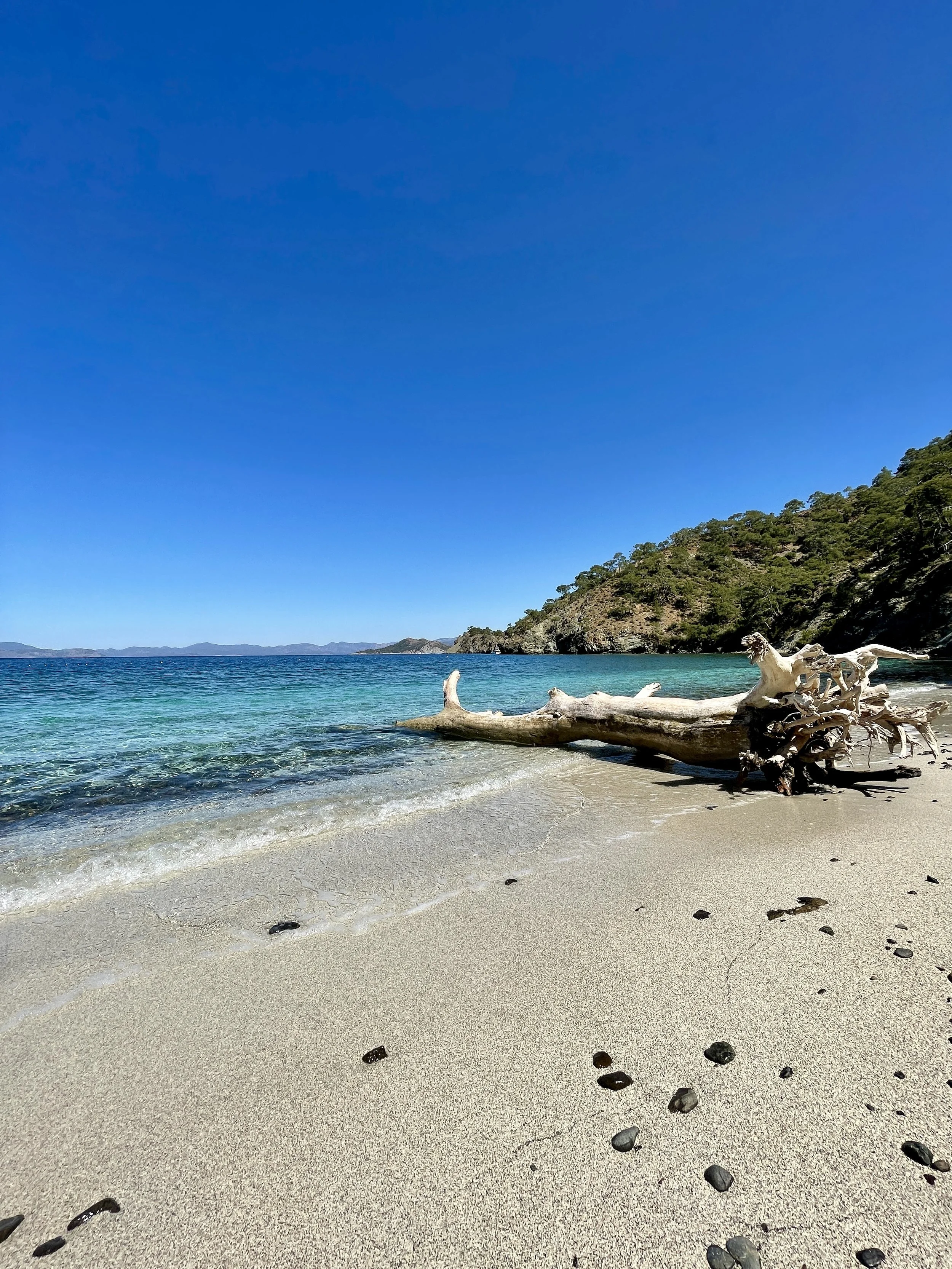 A sandy beach with a large piece of driftwood and footprints leading to the water. The clear blue ocean meets a hilly, forested coastline under a bright blue sky.