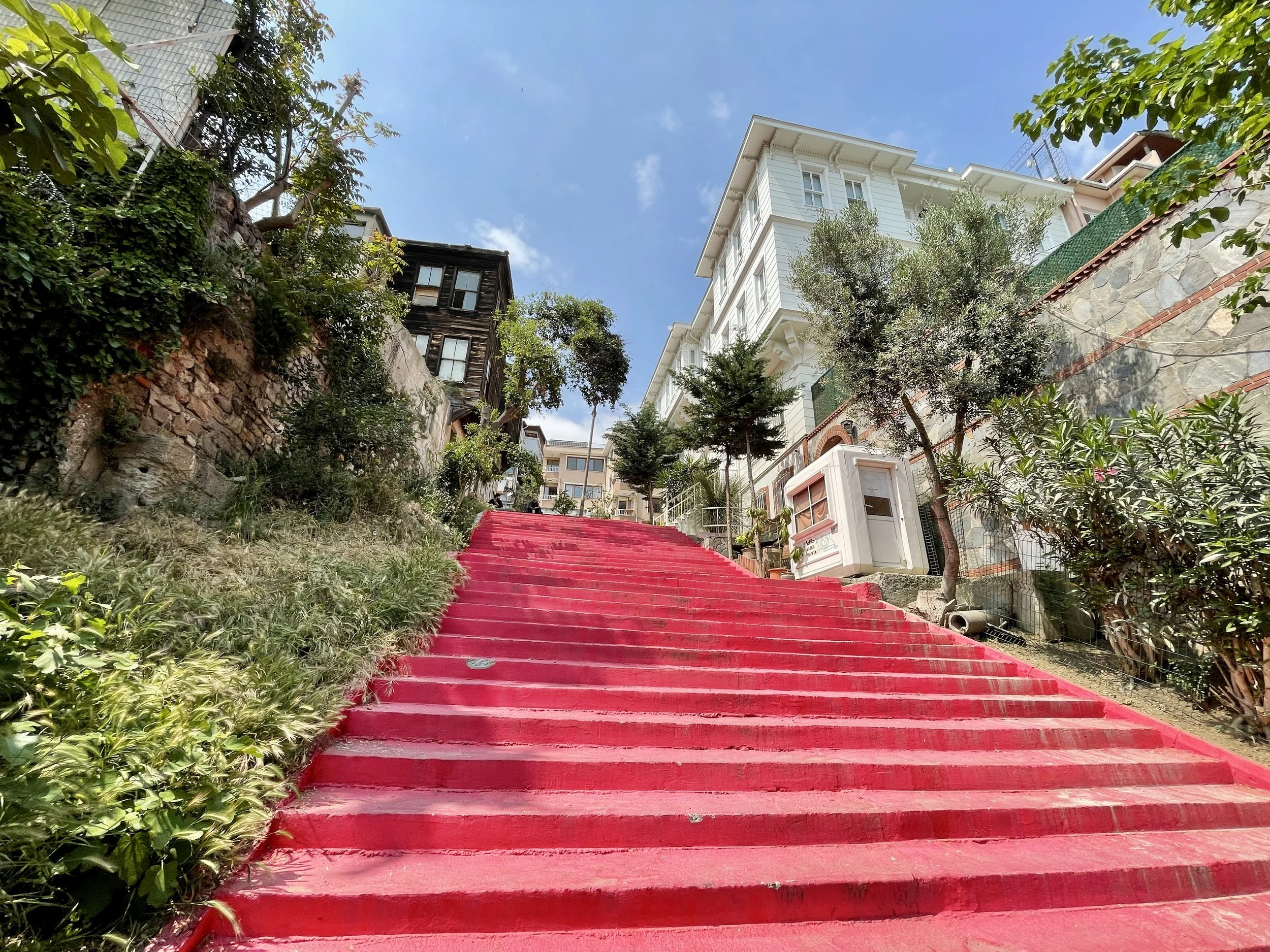 Bright pink outdoor stairs leading up a hill, lined with greenery and trees, with residential buildings visible at the top against a cloudy blue sky.