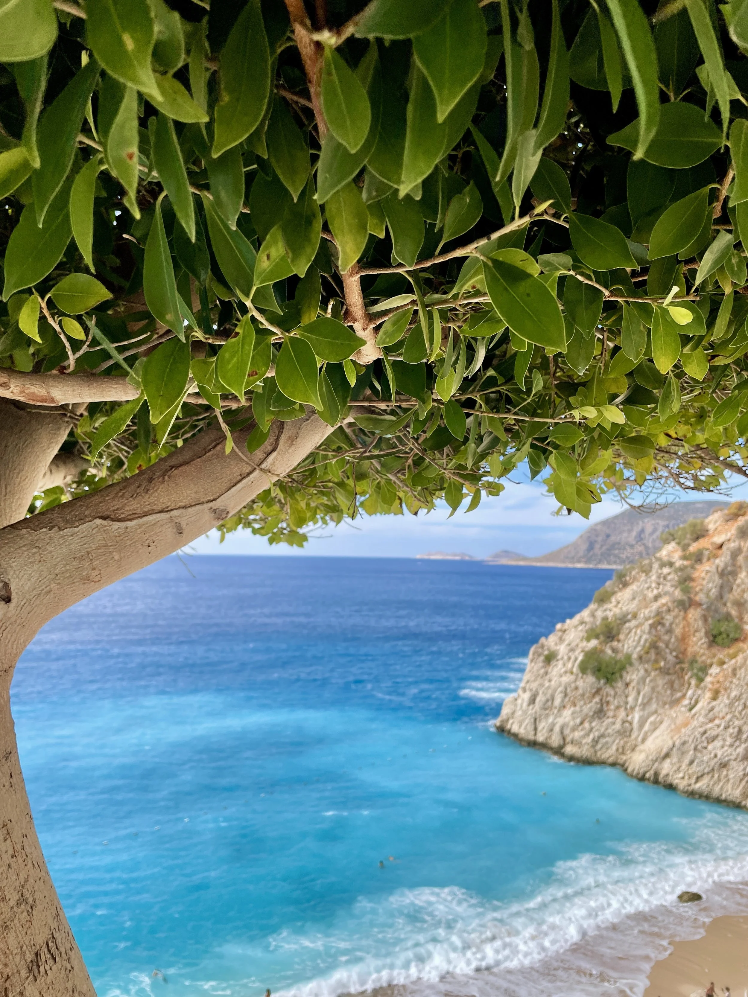 View of a serene beach with turquoise water, a sandy shore, and rocky cliffs in the background, partially obscured by the branches and leaves of a tree.