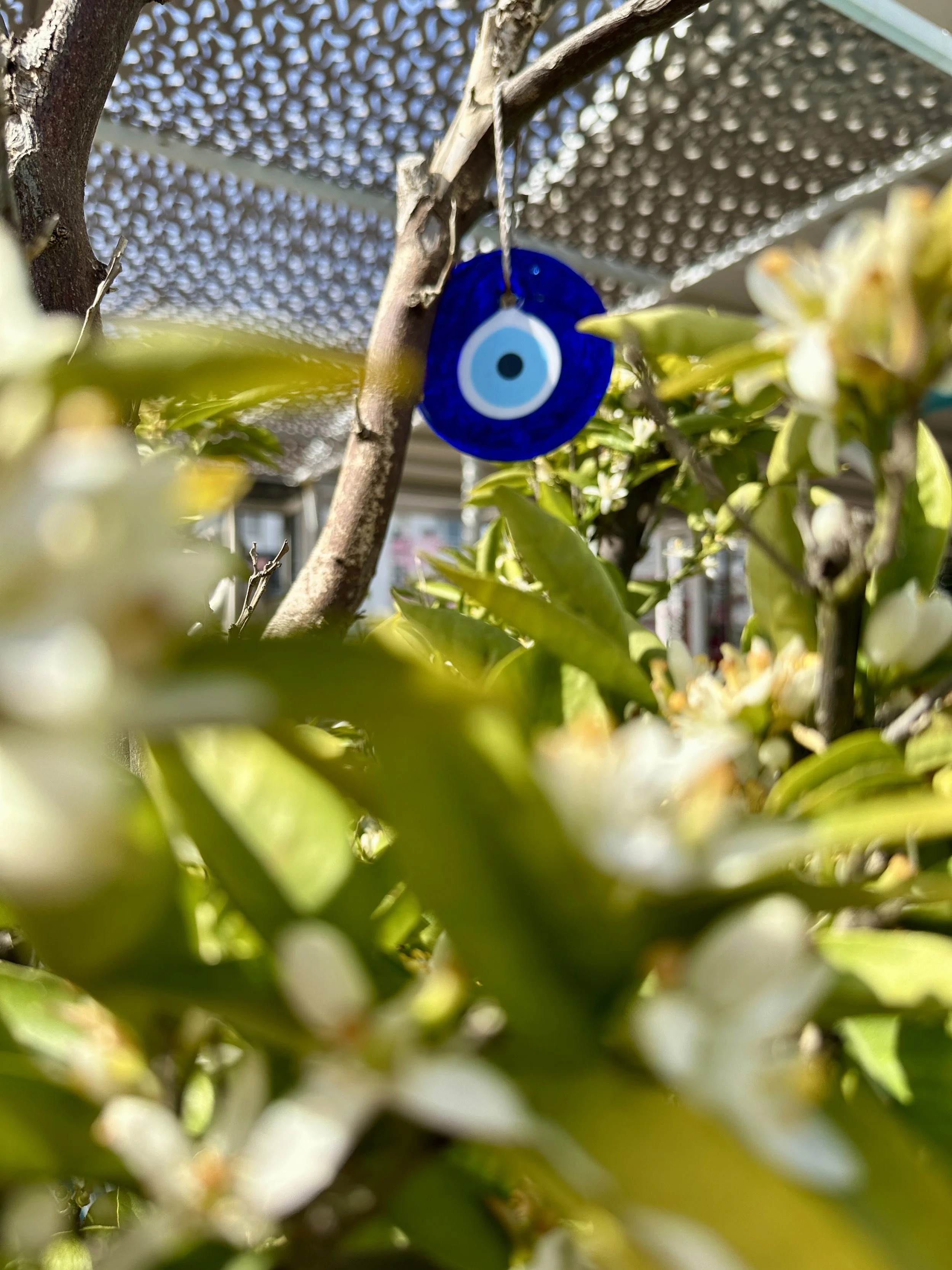 A blue Hamsa hand with an eye in the center hanging from a tree branch amidst green leaves and white flowers.