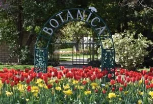 Mother’s day at Botanica