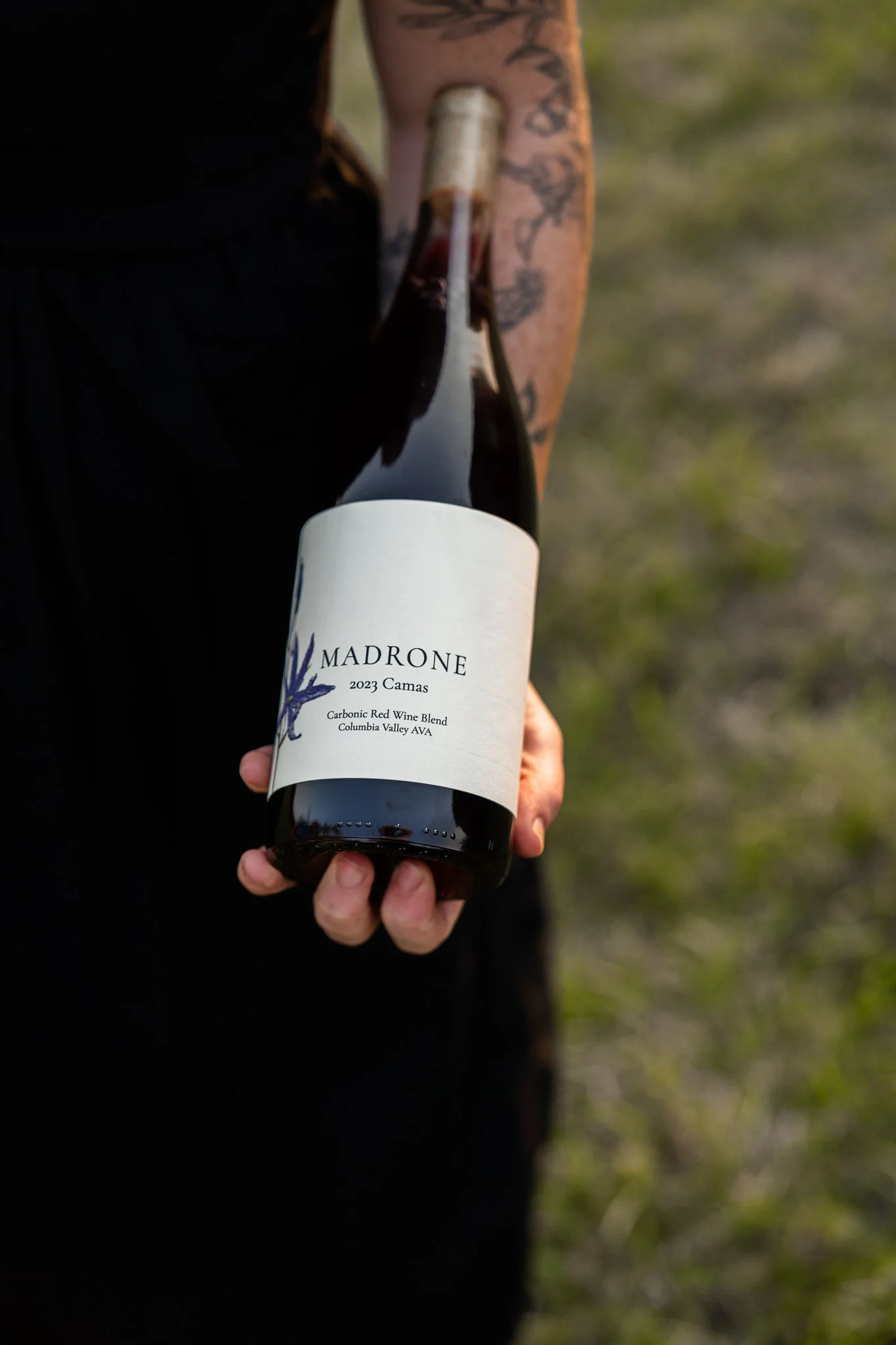 Person holding a bottle of Madrone 2023 Camas wine outdoors, with grass in the background.